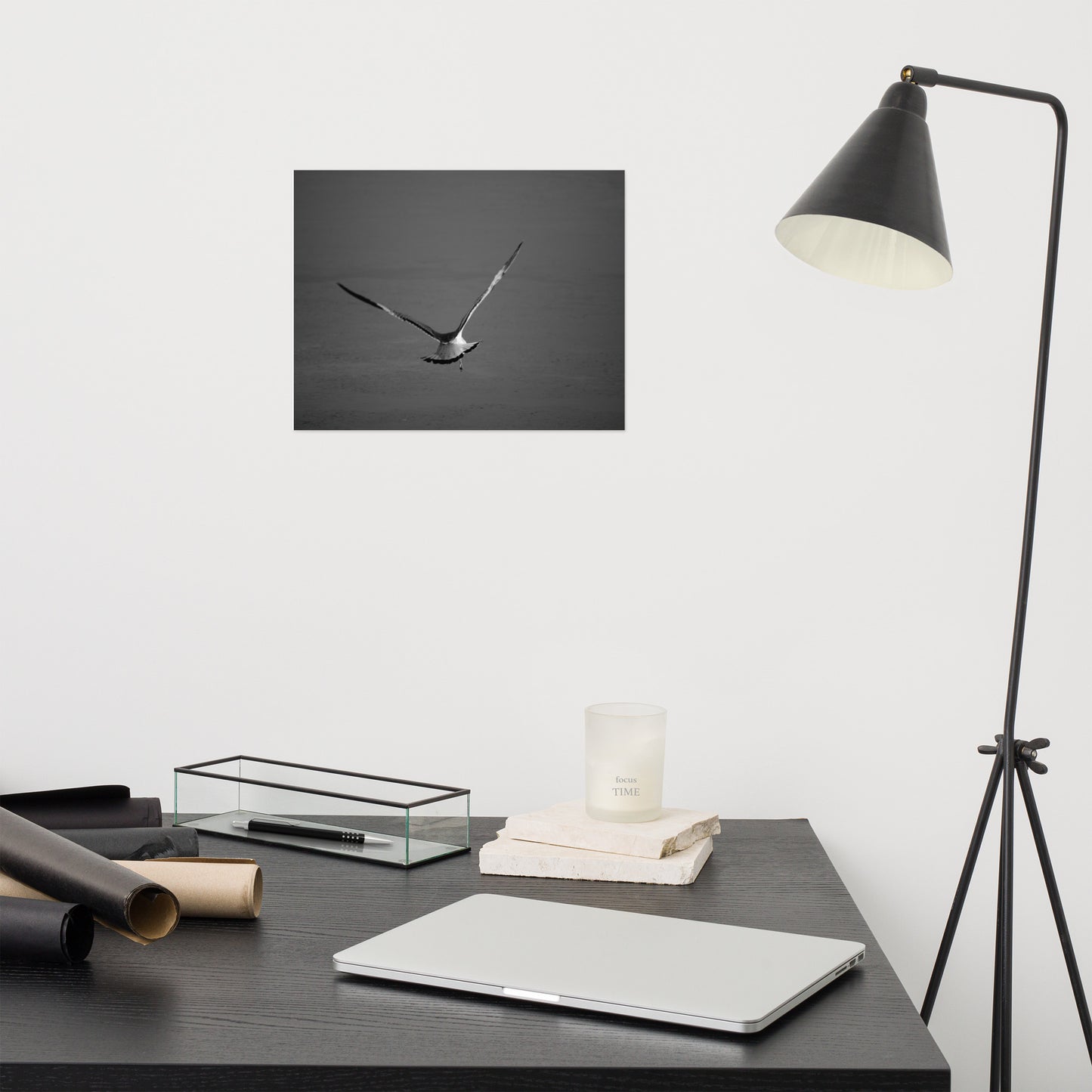 Flying Free Bird / Animal / Wildlife Photograph Loose Wall Art Print