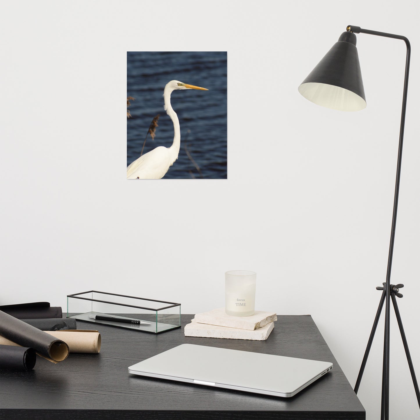 Great White Egret Bird / Animal / Wildlife Photograph Loose Wall Art Print