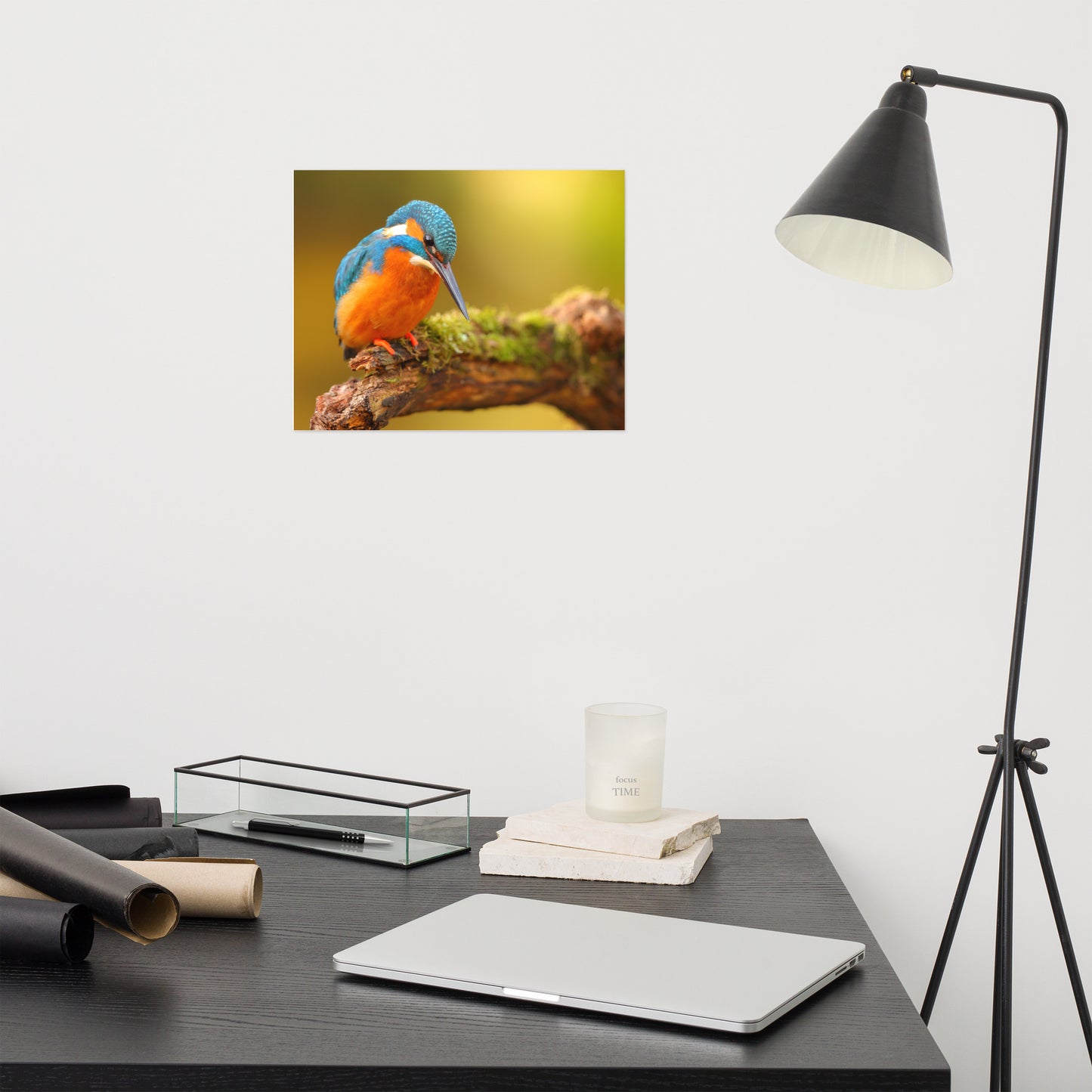 Kingfisher Bird on Perch 2 Loose Wall Art Print