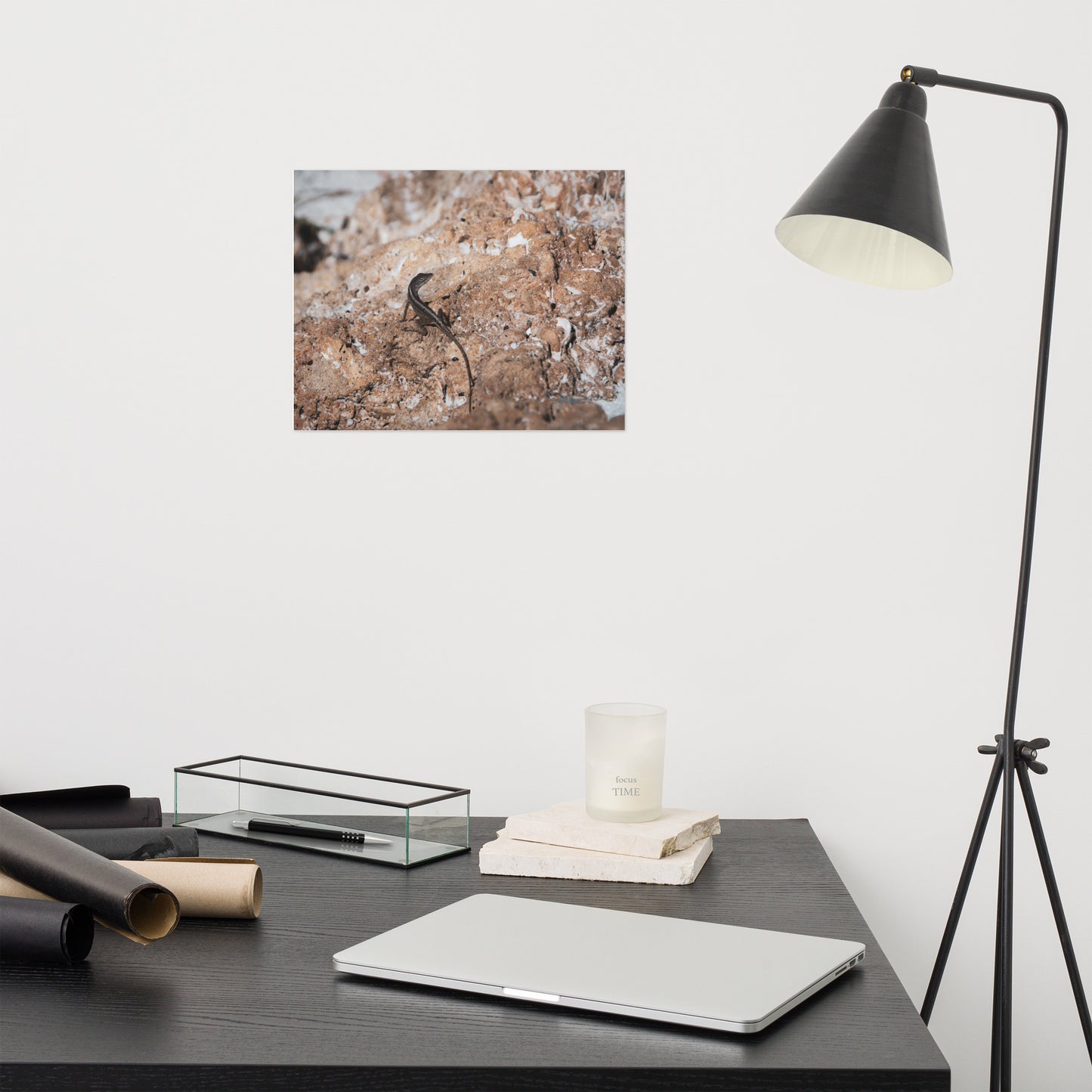 Lizard Rock Rustic Coastal Animal Wildlife Photograph Loose Wall Art Print