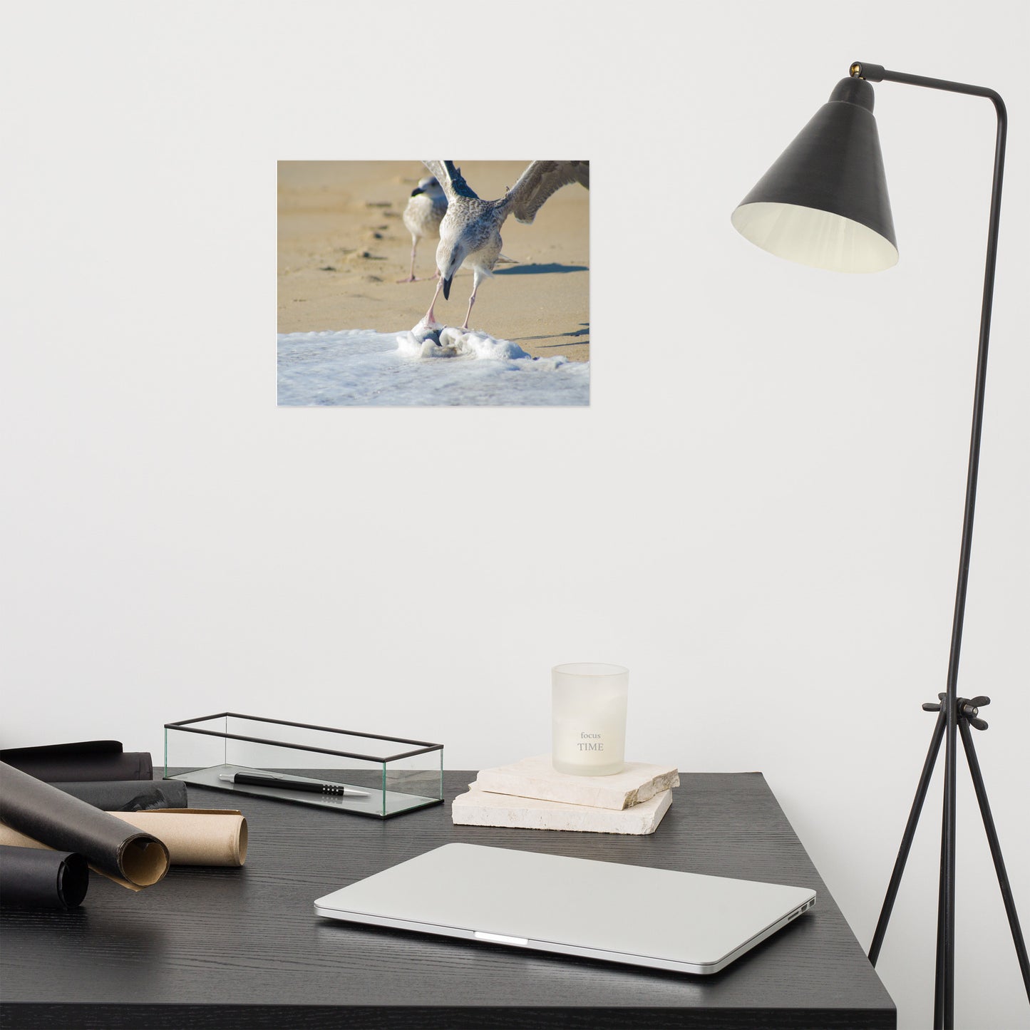 Oh That's Cold Coastal Bird Wildlife Photograph Loose Wall Art Print