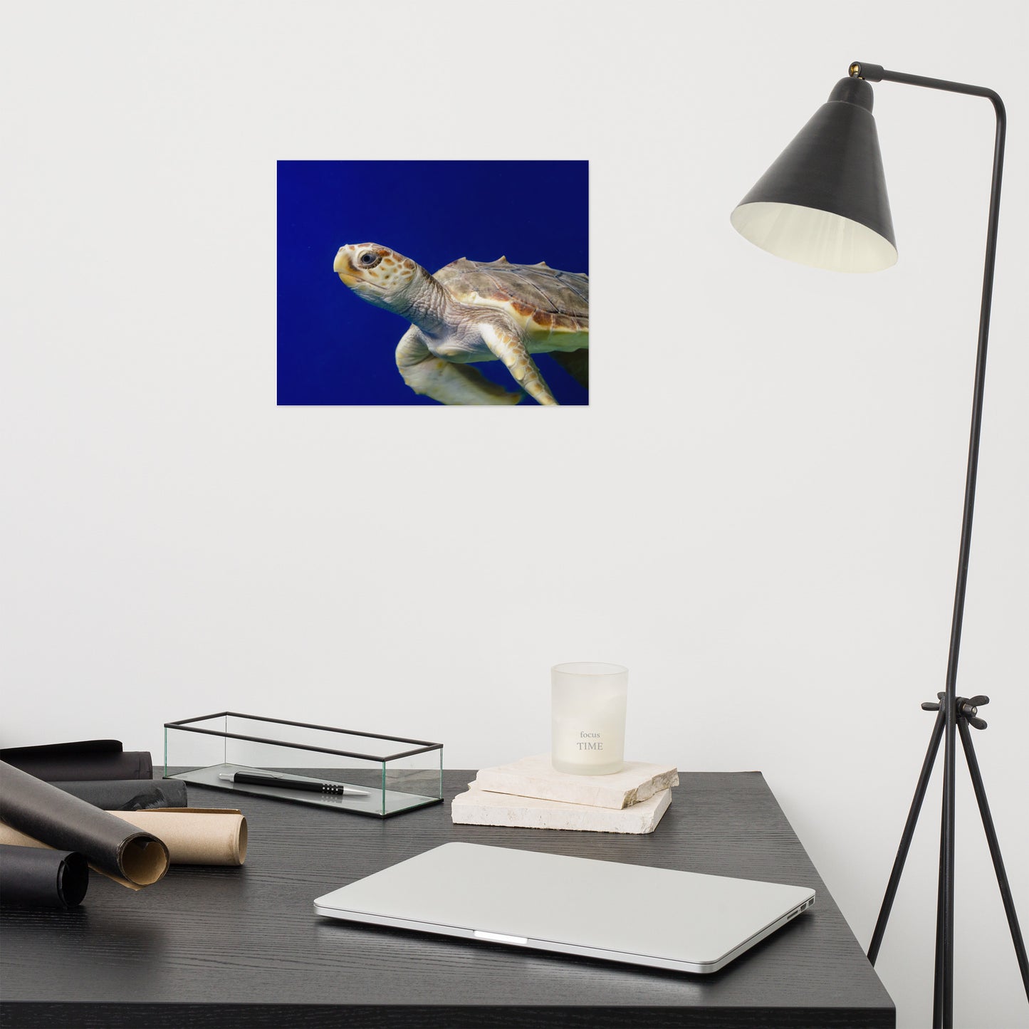 Sea Turtle 2 Marine Animal / Wildlife Photograph Loose Wall Art Print