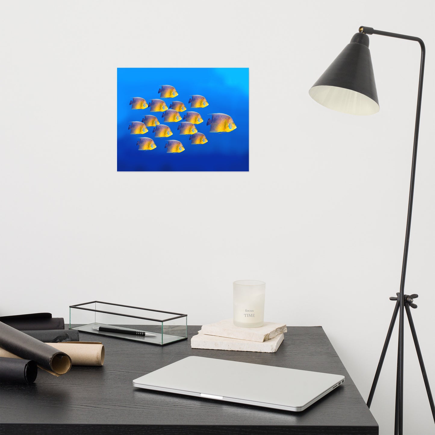 School of Tropical Coral Fish Angelfish Isolated In Blue Ocean Water Animal Wildlife Photograph Loose Wall Art Print