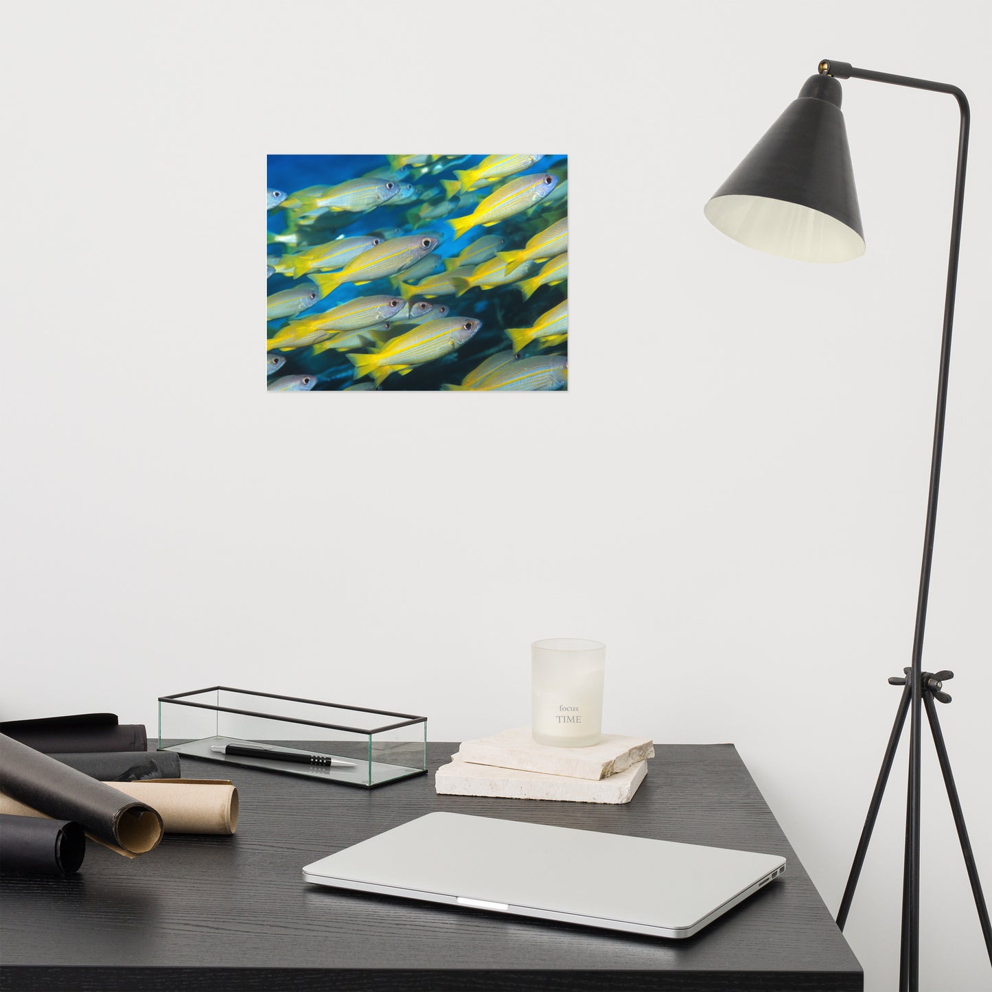 School of Yellow Tropical Fish in Blue Ocean Water Animal Wildlife Photograph Loose Wall Art Print