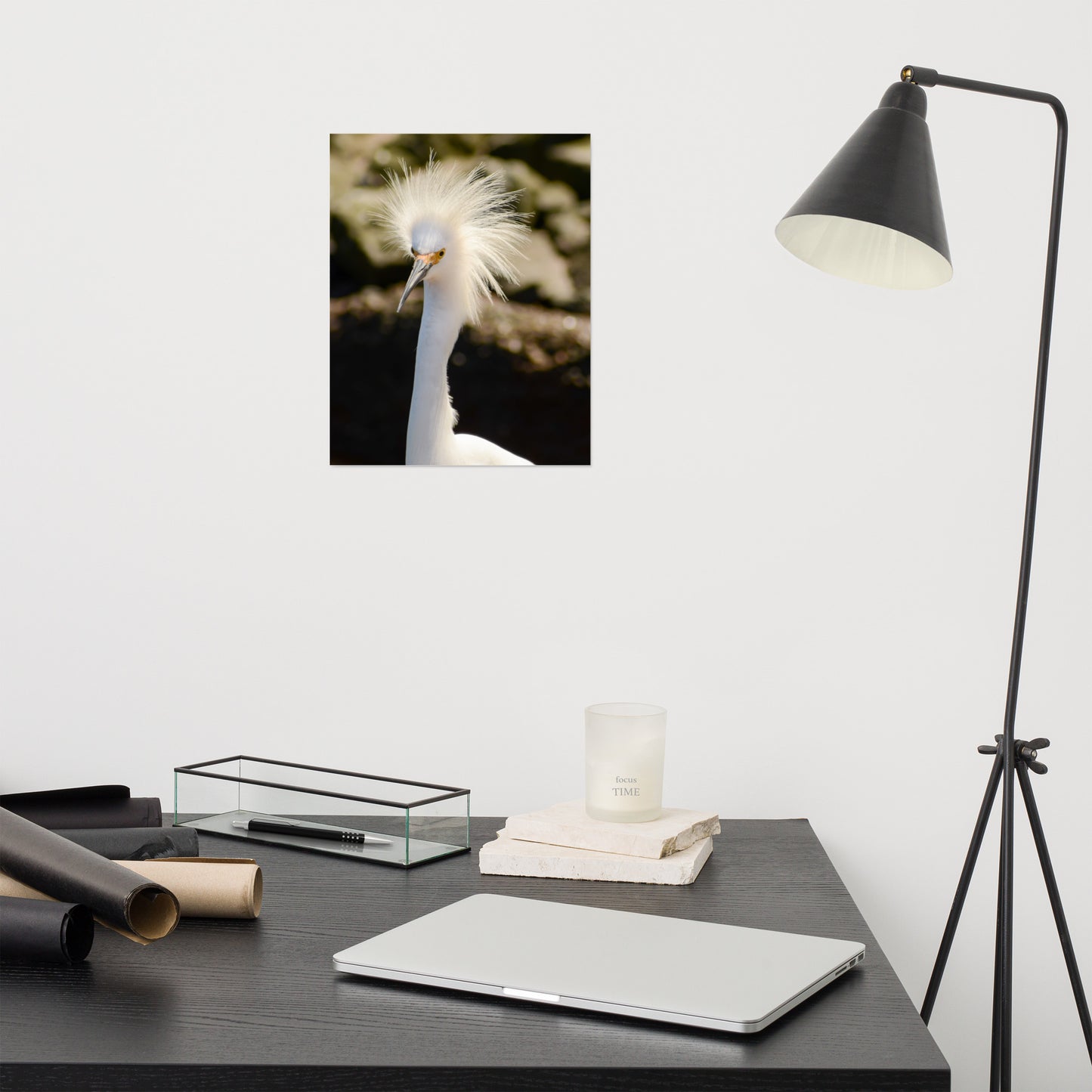 Snowy Egret - Coastal Bird Wildlife Photograph Loose Wall Art Print