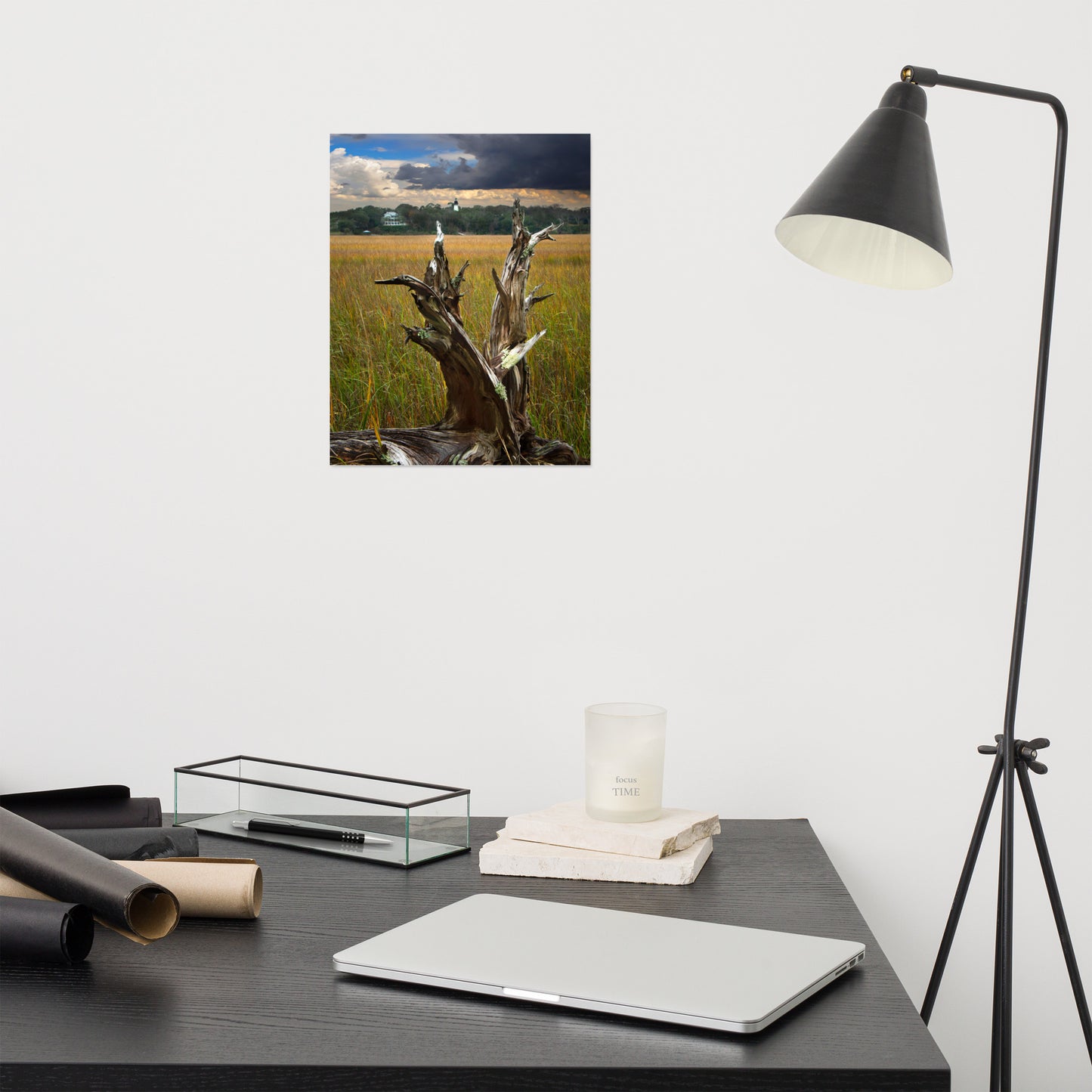 Dead Tree and Amelia Lighthouse Coastal Landscape Photo - Loose Wall Art Prints