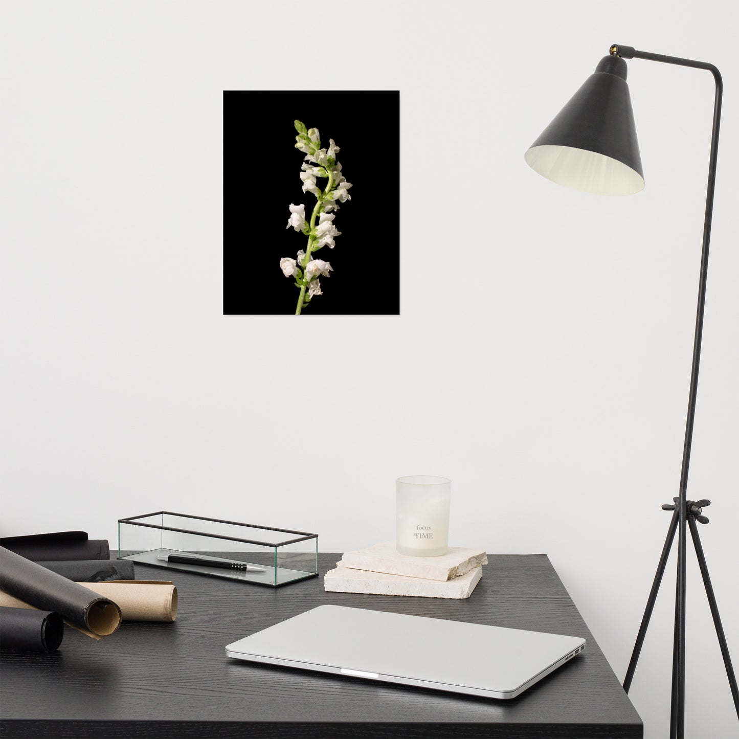 White Snapdragons Floral Nature Photo Loose Unframed Wall Art Prints