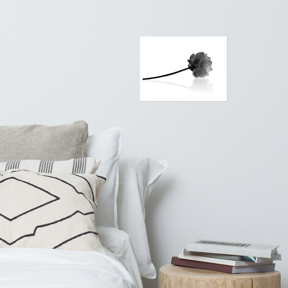 Resting Lotus Flower Black & White Floral Nature Photo Loose Flower Wall Art Print
