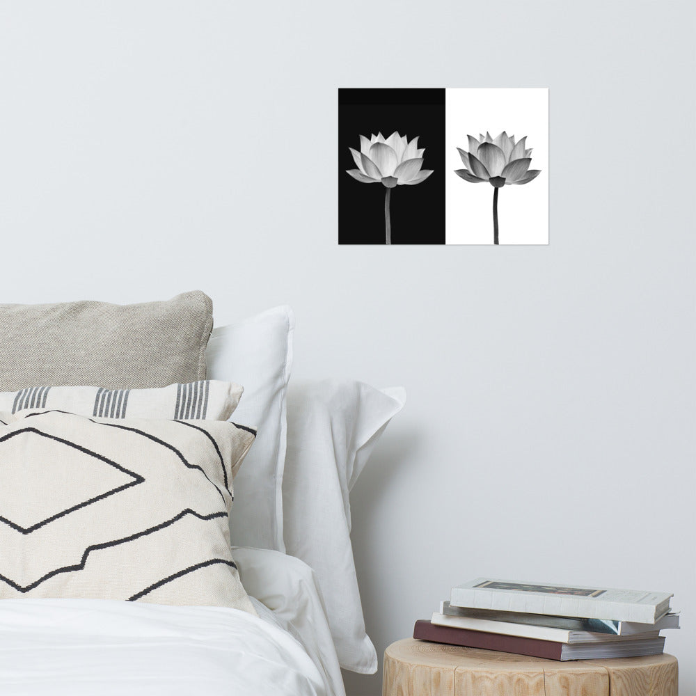 Lotus Flower on Black and White Background Floral Nature Photo Loose Flower Wall Art Print