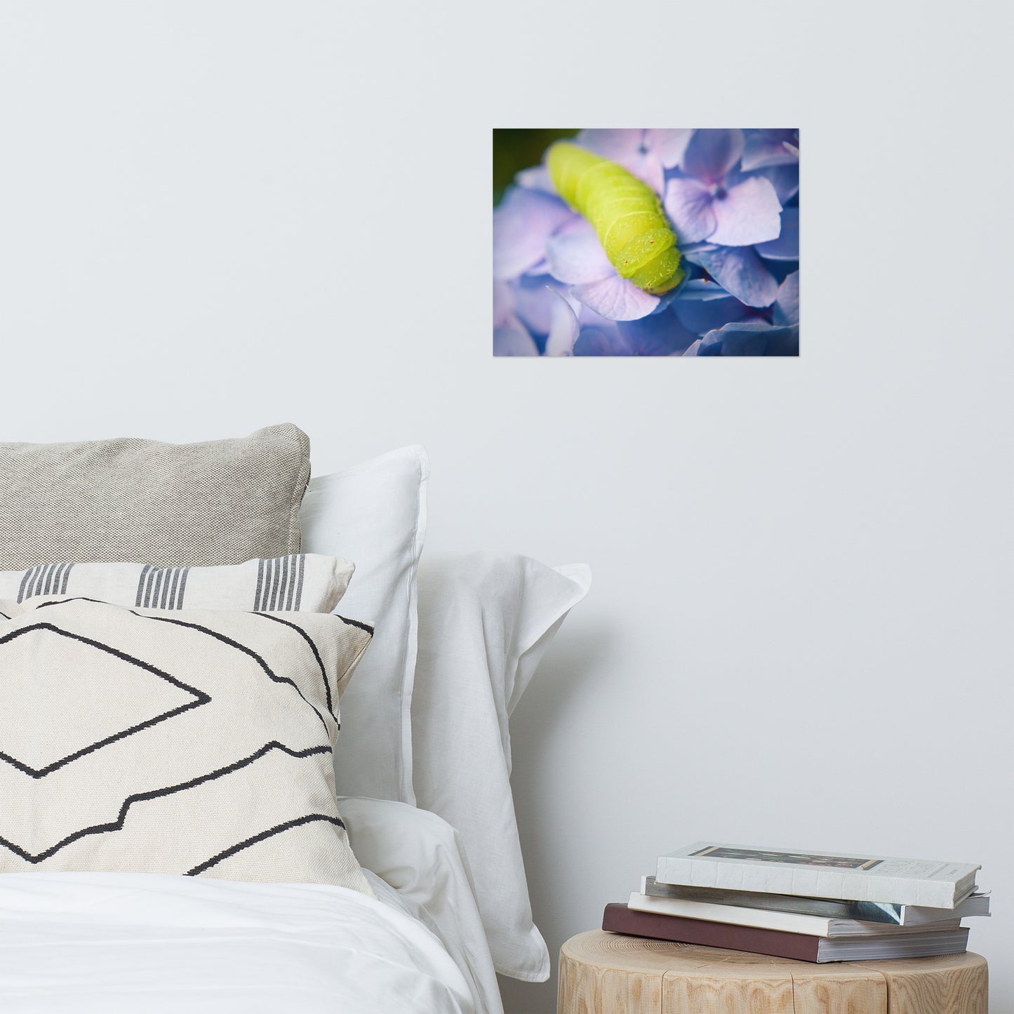 Actias Luna Larvae on Hydrangea Floral Nature Photo Loose Unframed Wall Art Prints