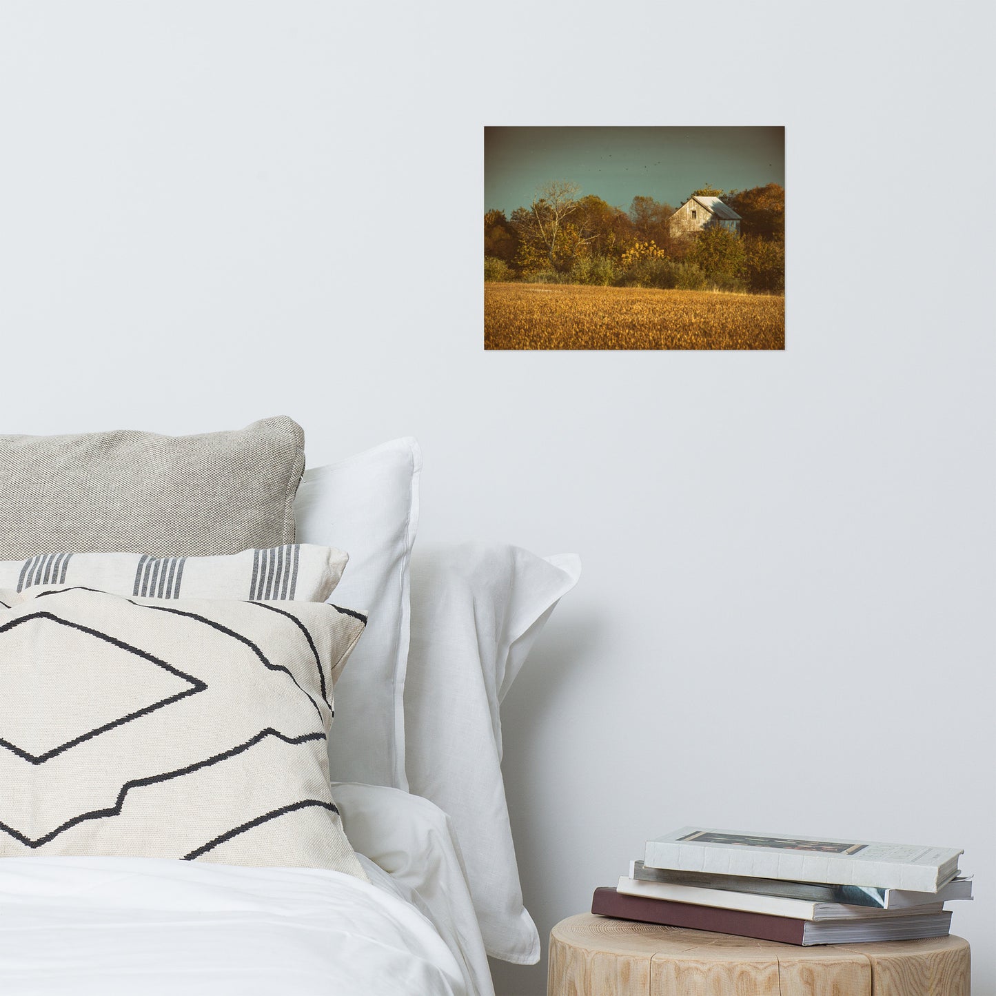 Rustic Farmhouse Wall Decor: Abandoned Barn Colorized - Rural / Country Style Landscape / Nature Loose / Unframed Wall Art Print - Artwork