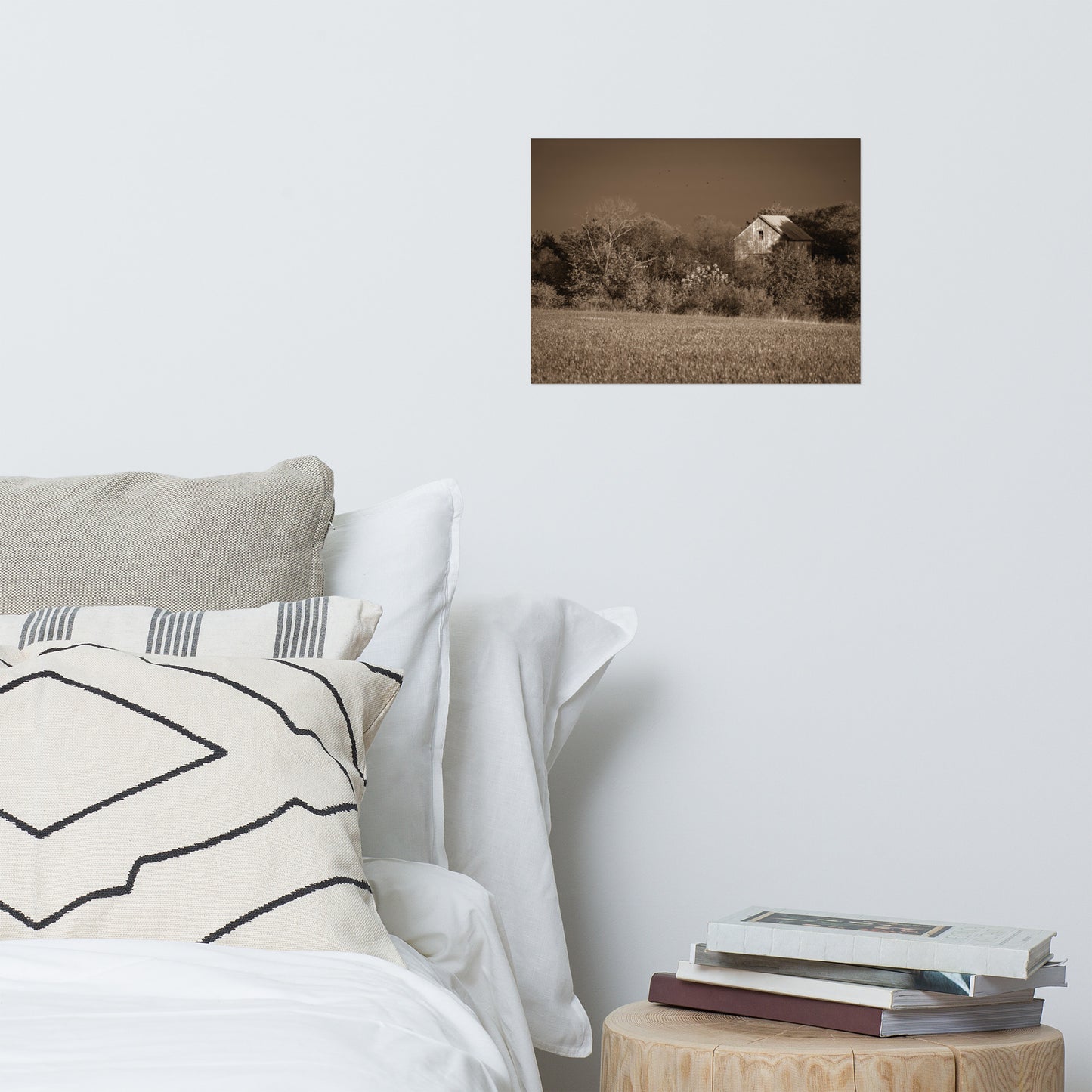 Rustic Wall Art: Abandoned Barn In The Trees Sepia - Rural / Country Style Landscape / Nature Loose / Unframed Photograph Wall Art Print - Artwork