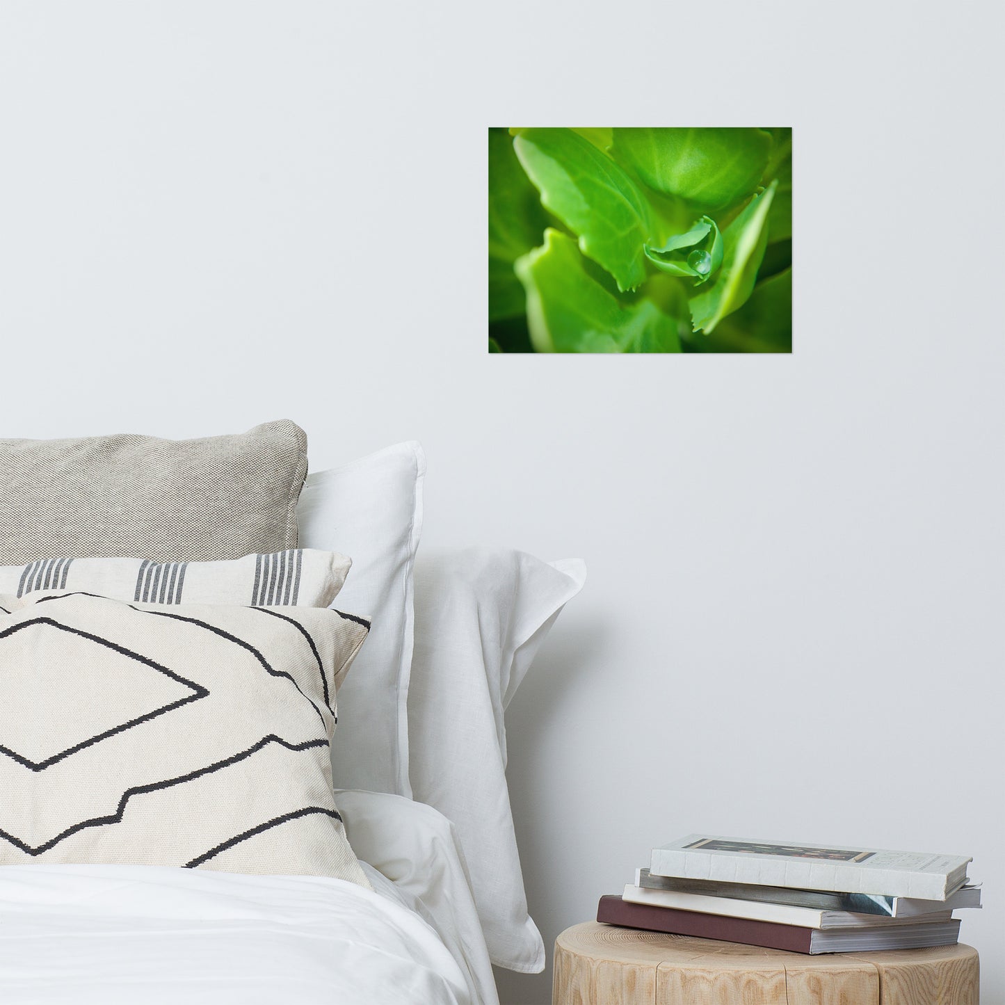 Cupped Droplet Rustic Minimal Botanical Nature Photo Loose Unframed Wall Art Prints