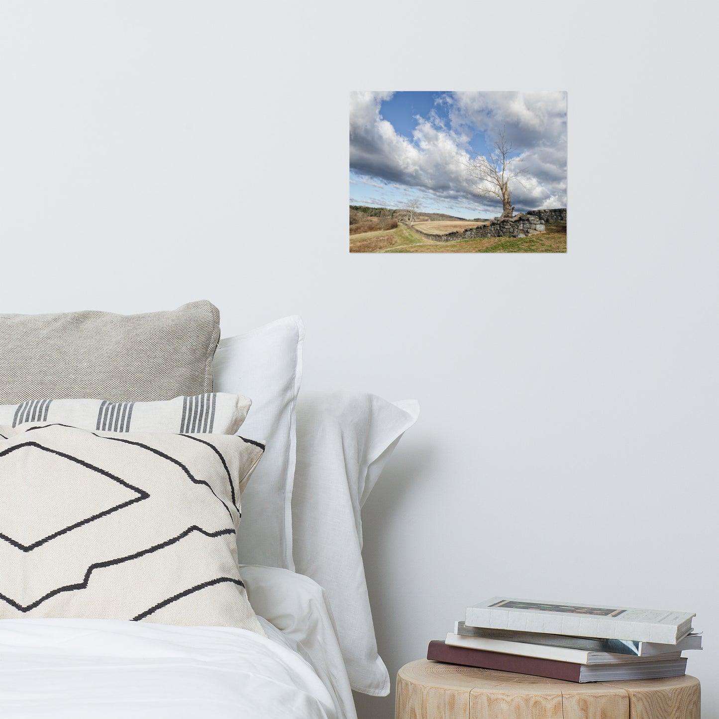 Dead Tree and Stone Wall Rustic Farmhouse Style Landscape Photo Loose Wall Art Prints