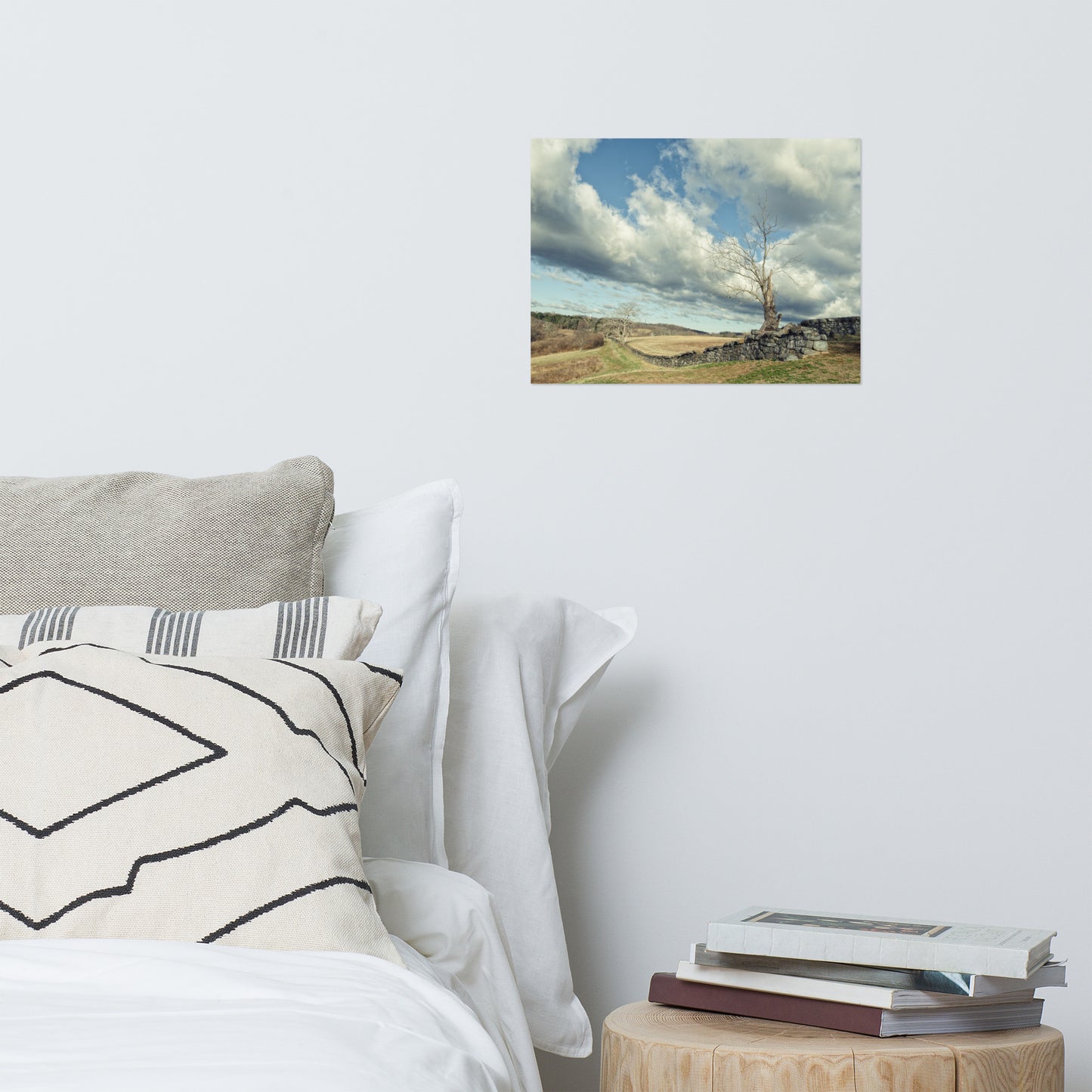 Dead Tree and Stone Wall Split Toned Farmhouse Style Landscape Photo Loose Wall Art Prints