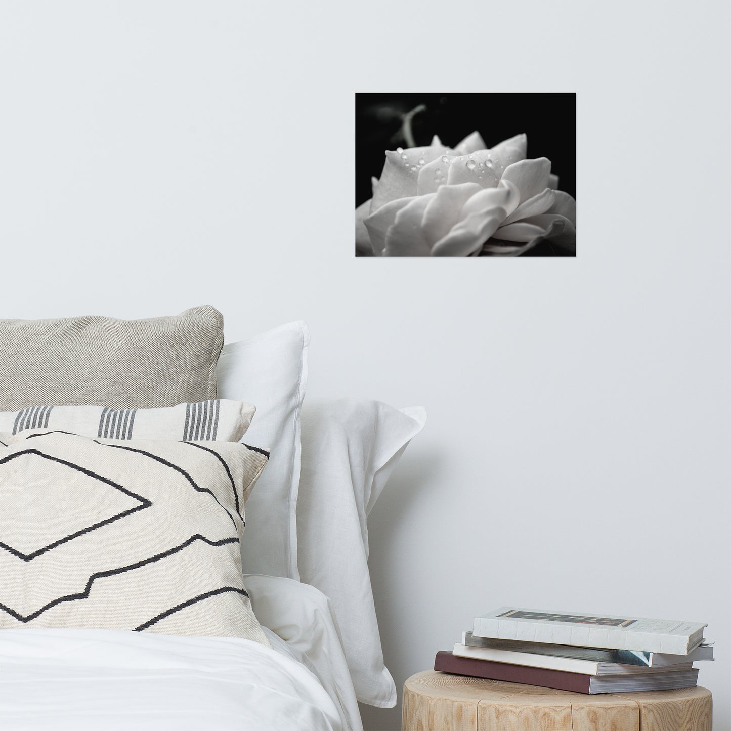 Delicate Rose Black and White Floral Nature Photo Loose Unframed Wall Art Prints