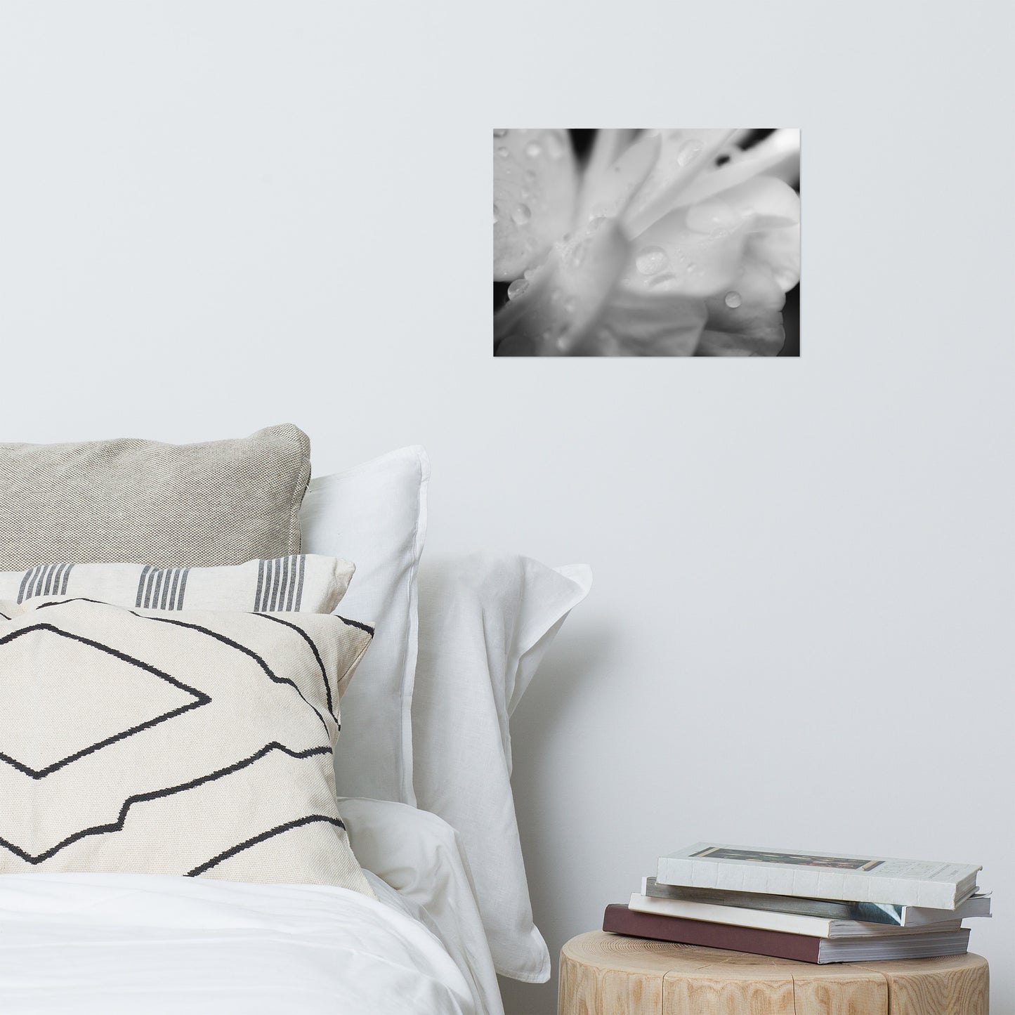 Delicate Rose Petals Black and White Floral Nature Photo Loose Unframed Wall Art Prints