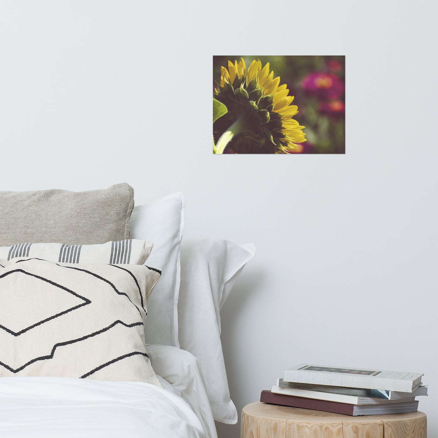 Dramatic Backside of Sunflower Grain Floral Nature Photo Loose Unframed Wall Art Prints