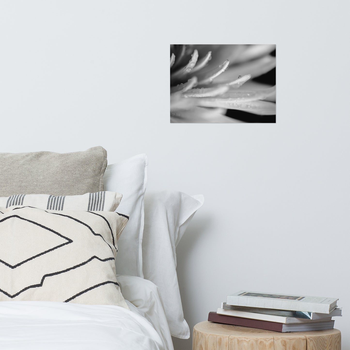 Droplets on Petals Black and White Floral Nature Photo Loose Unframed Wall Art Prints