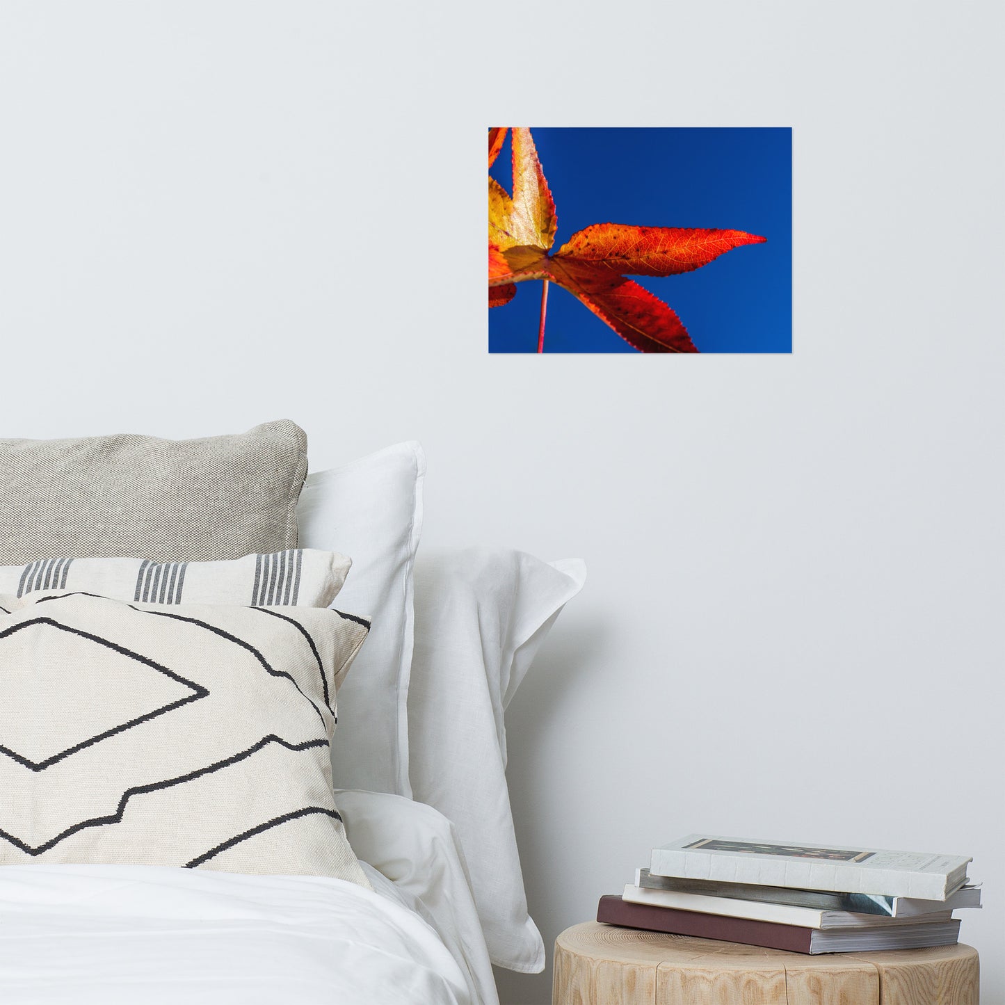 Fall Colors Farmhouse Style Botanical Nature Photo Loose Unframed Wall Art Prints