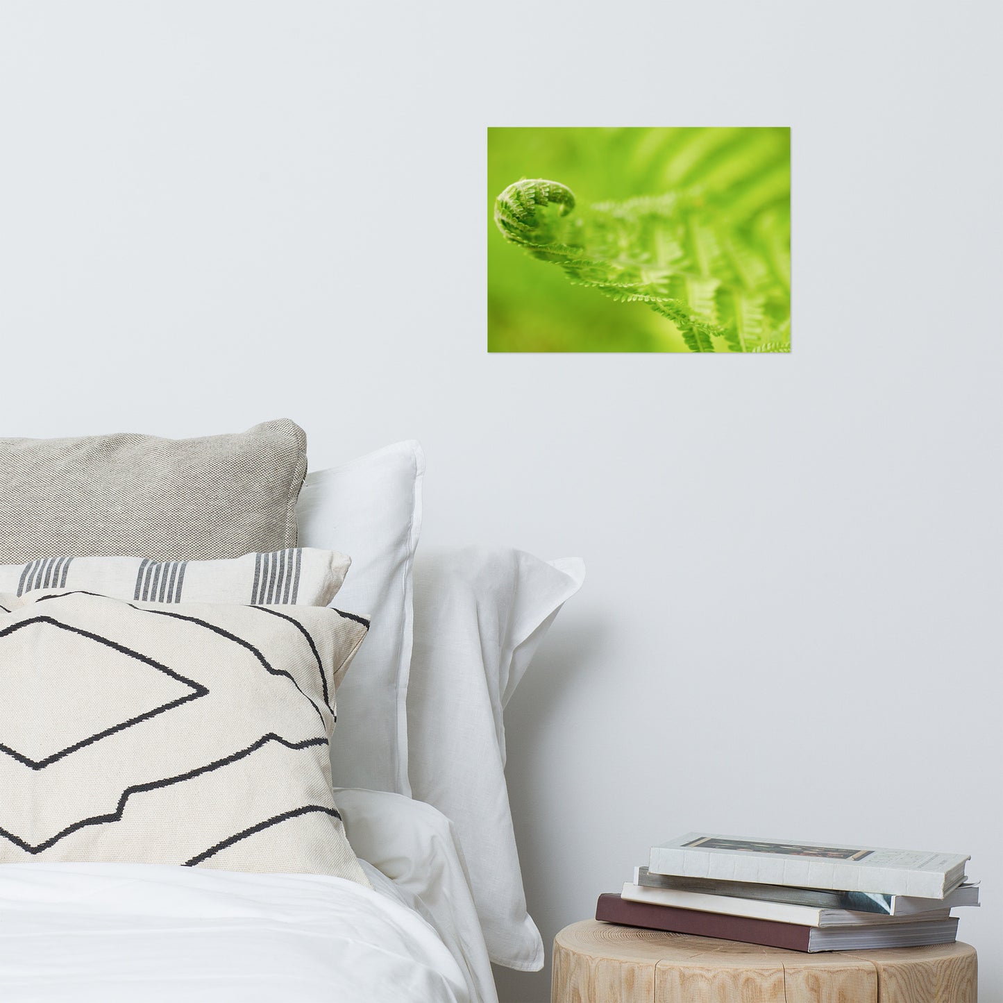 Fern Curl Botanical Nature Photo Loose Unframed Wall Art Prints