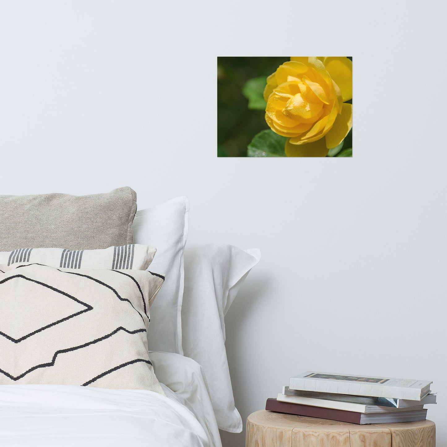 Friendship Rose Floral Nature Photo Loose Unframed Wall Art Prints