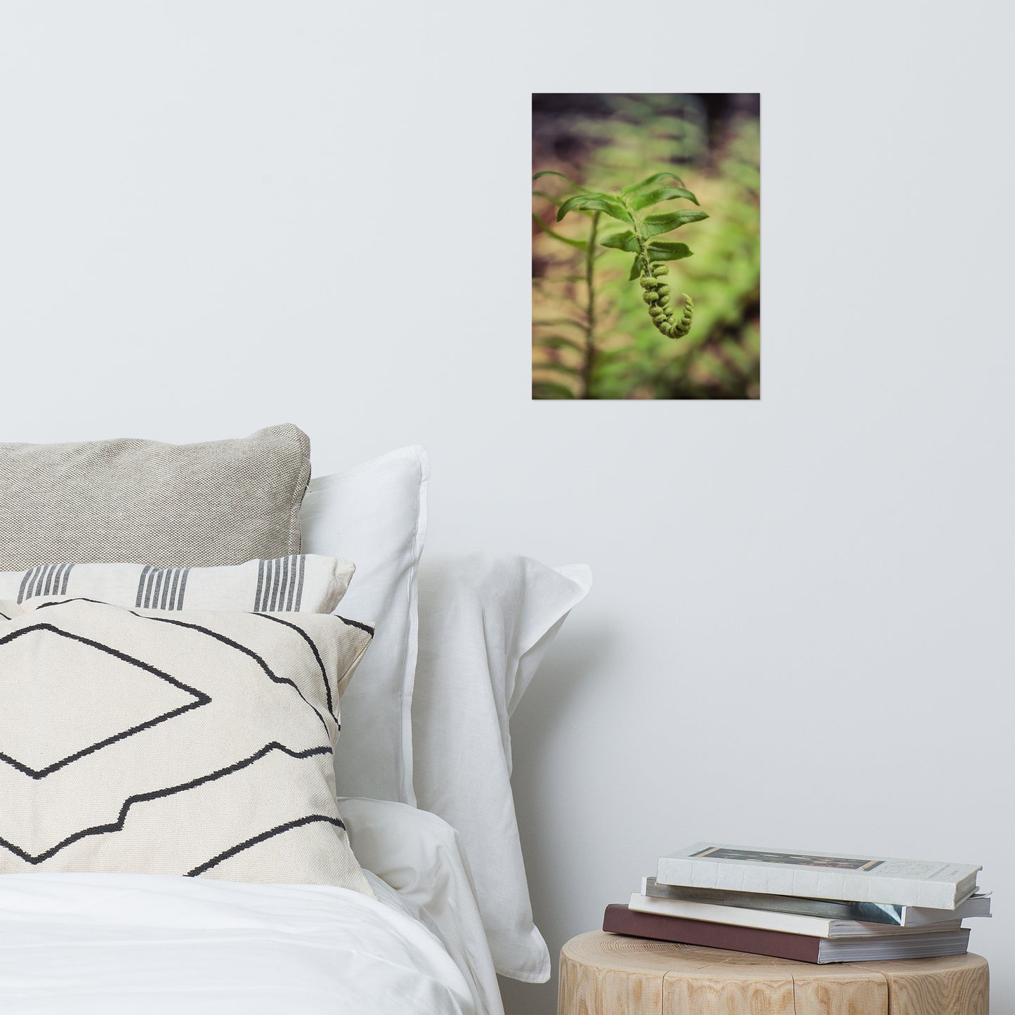 Growth of the Forest Floor Rustic Farmhouse Style Botanical Nature Photo Loose Unframed Wall Art Prints