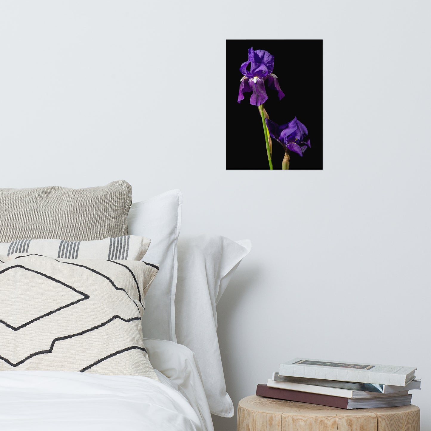 Iris on Black Floral Nature Photo Loose Unframed Wall Art Prints