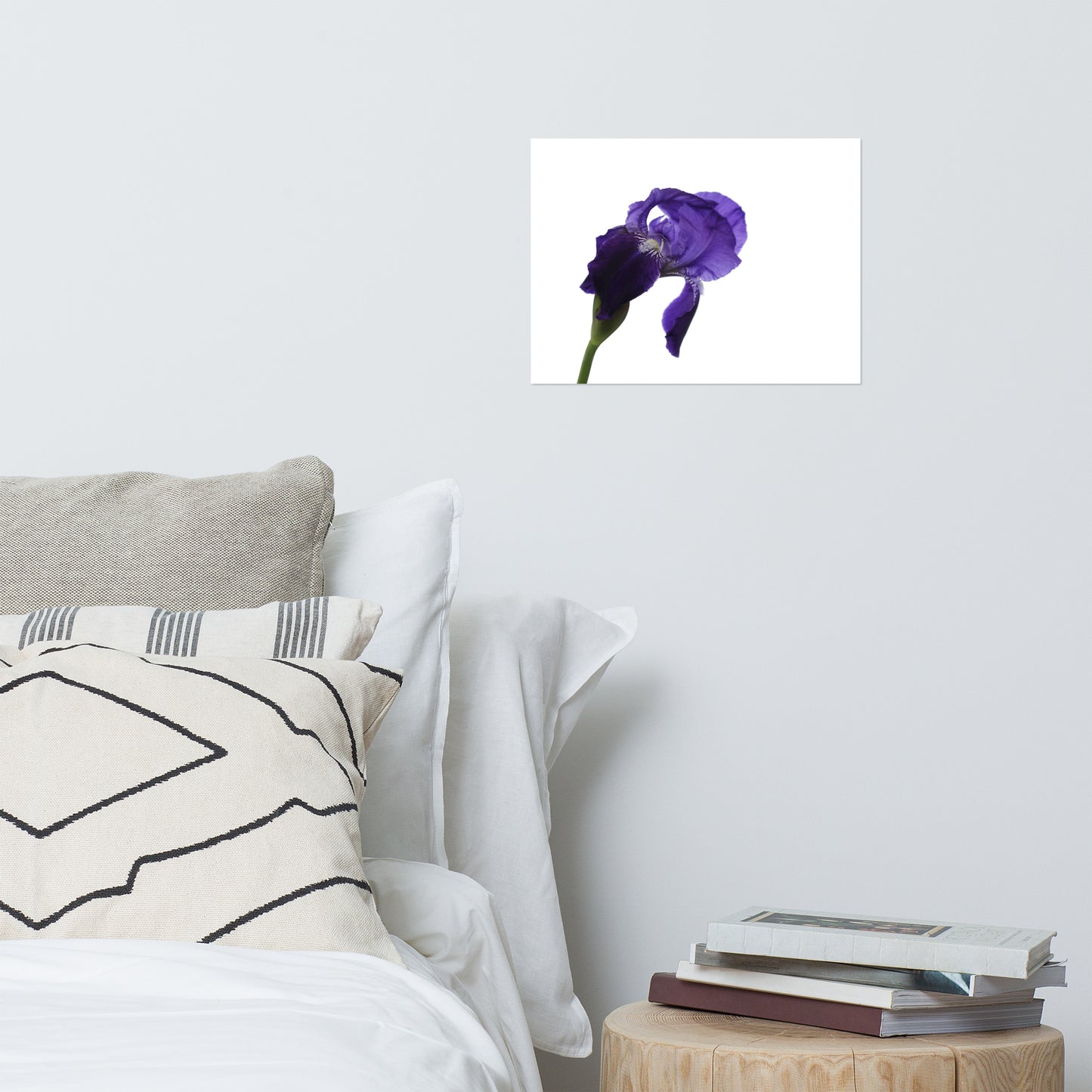Iris on White Floral Nature Photo Loose Unframed Wall Art Prints