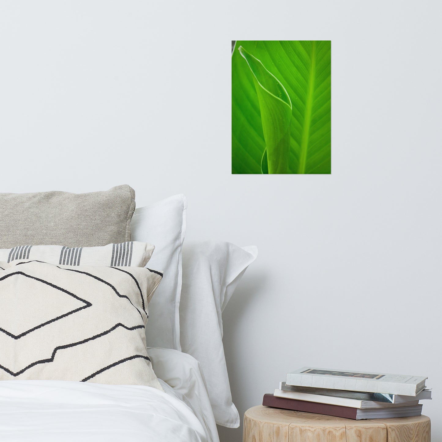 Leaves of Canna Lily Modern Farmhouse Style Botanical Nature Photo Loose Unframed Wall Art Prints