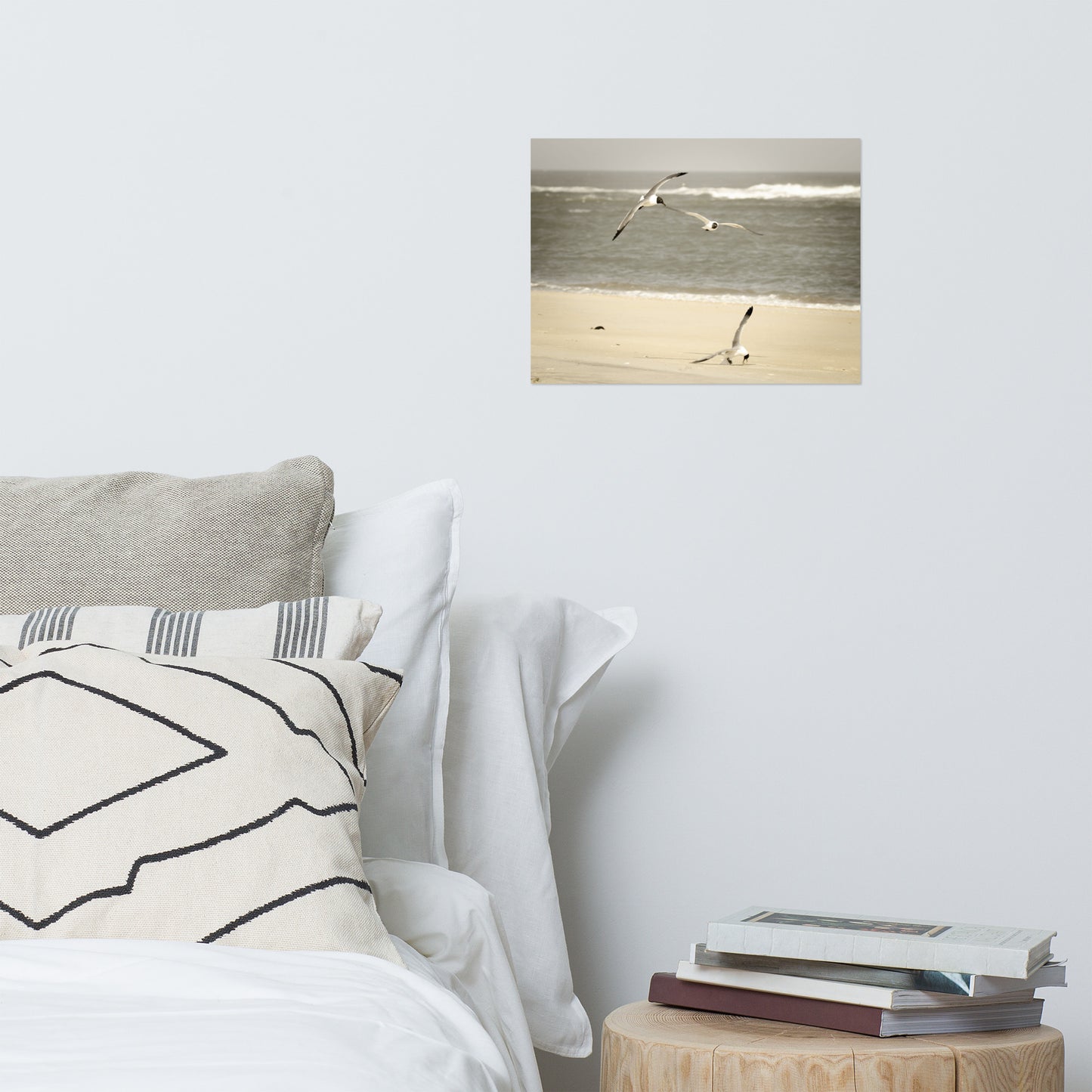 Life at the Shore Minimal Coastal Wildlife Landscape Photo Loose Unframed Wall Art Prints