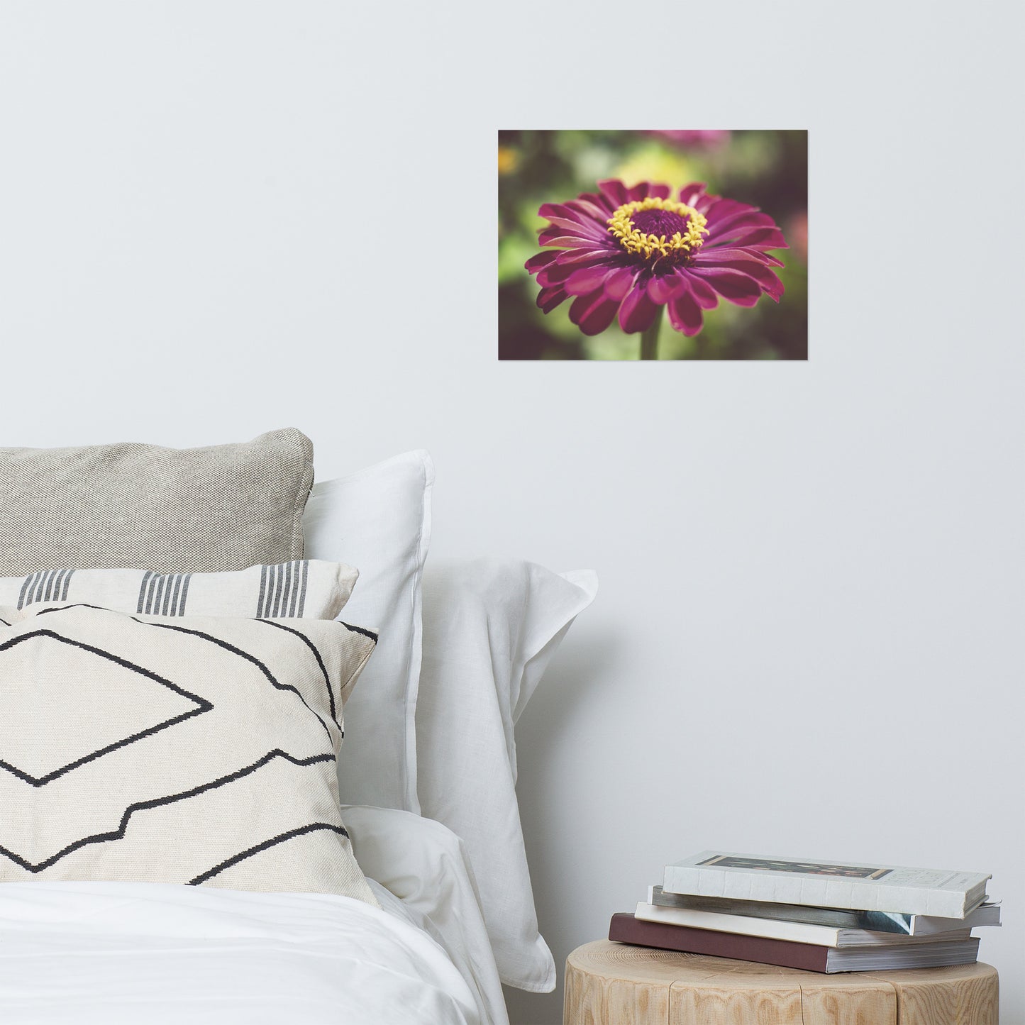 Moody Young-And-Old Age Pink Zinnia Floral Nature Photo Loose Unframed Wall Art Prints