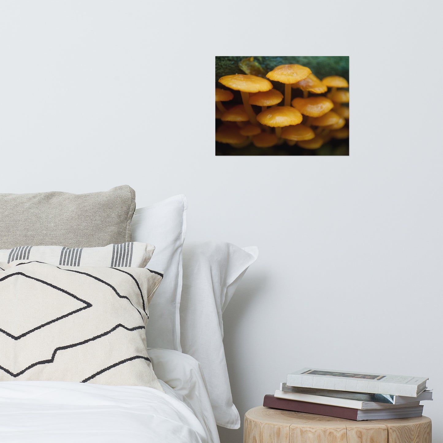 Mushroom Family Rustic Farmhouse Style Botanical Nature Photo Loose Unframed Wall Art Prints