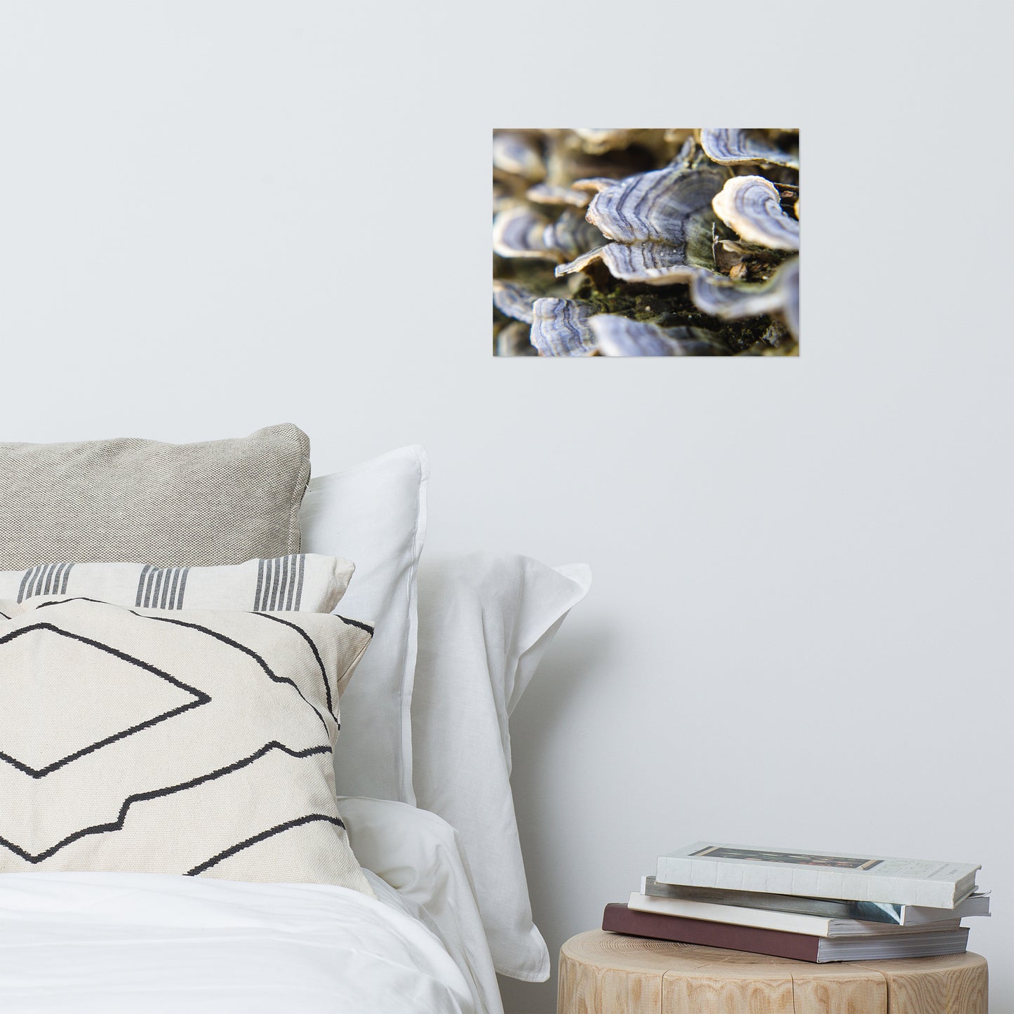 Mushrooms on Log Rustic Farmhouse Style Botanical Nature Photo Loose Unframed Wall Art Prints