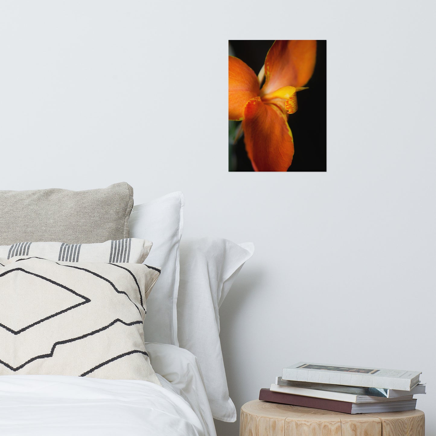 Orange Canna at Longwood Gardens Floral Nature Photo Loose Unframed Wall Art Prints