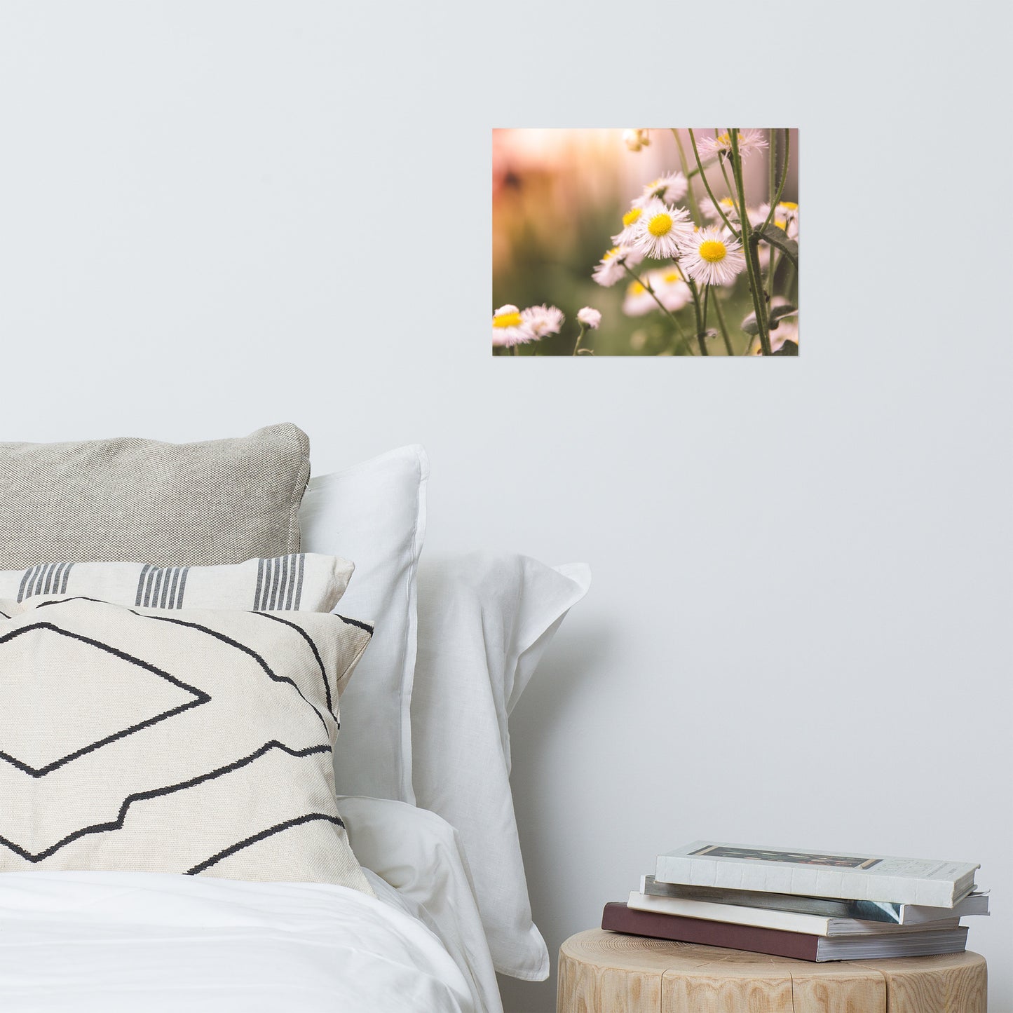 Philadelphia Fleabane Cluster Softened Floral Nature Photo Loose Unframed Wall Art Prints