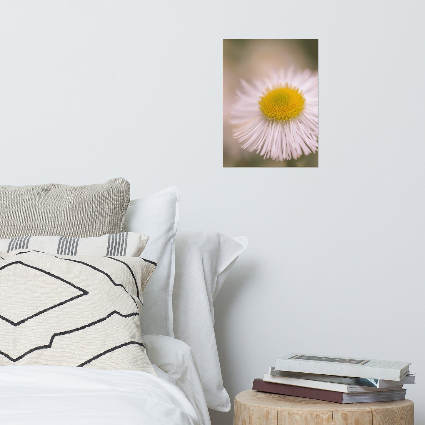 Philadelphia Fleabane Single Bloom Floral Nature Photo Loose Unframed Wall Art Prints
