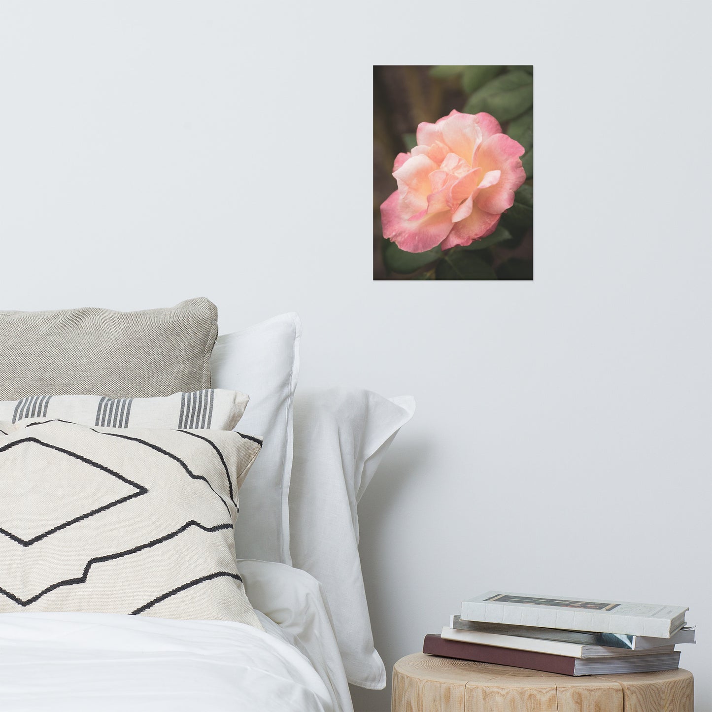 Pink and White Softened Rose Floral Nature Photo Loose Unframed Wall Art Prints
