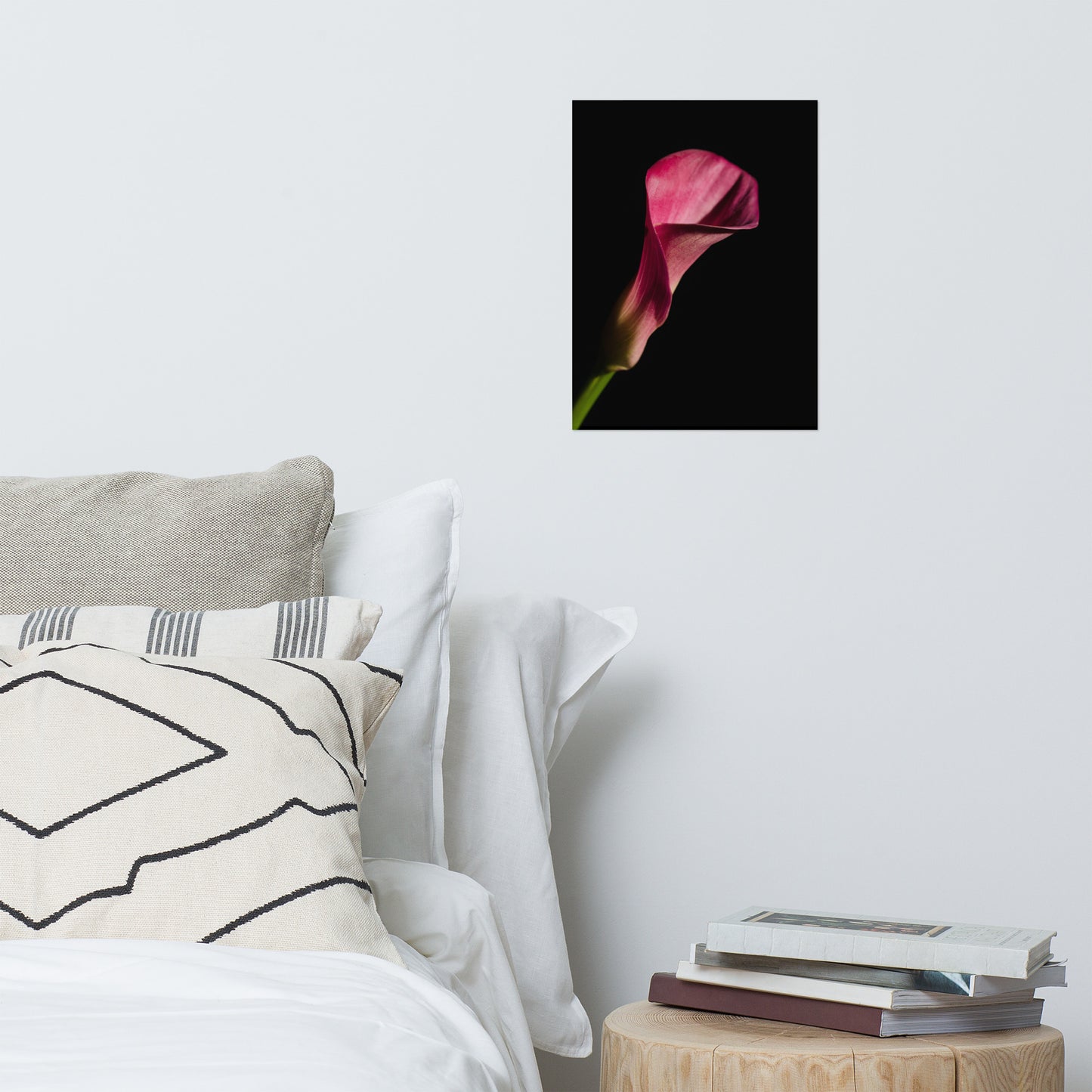 Pink Calla Lily Flower on Black Floral Nature Photo Loose Unframed Wall Art Prints