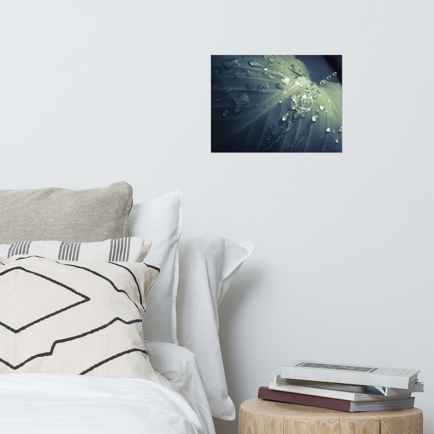 Rain Dropping on Canna Leaf Minimalist Botanical Nature Photo Loose Unframed Wall Art Prints