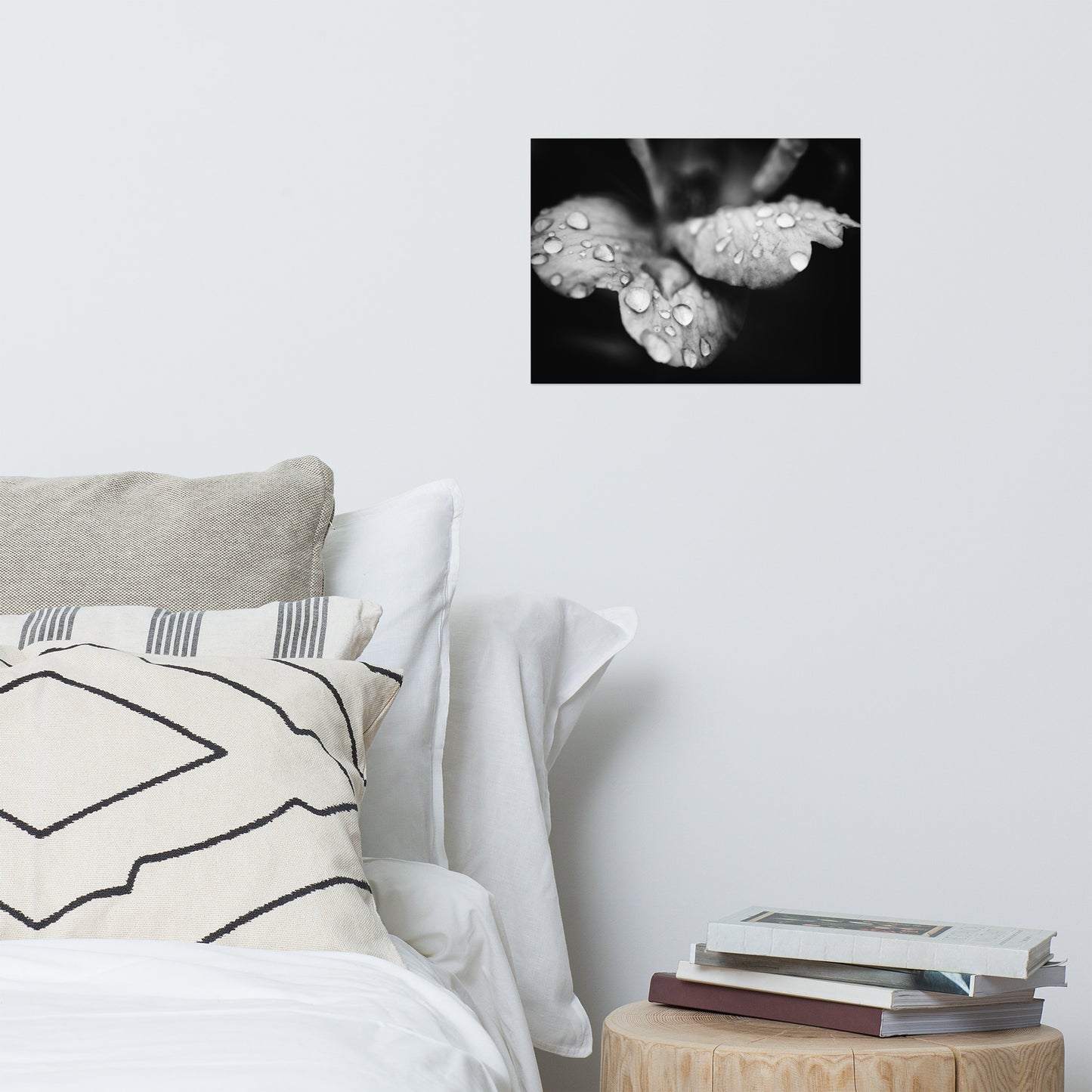 Raindrops on Wild Rose Black and White Botanical Nature Photo Loose Unframed Wall Art Prints