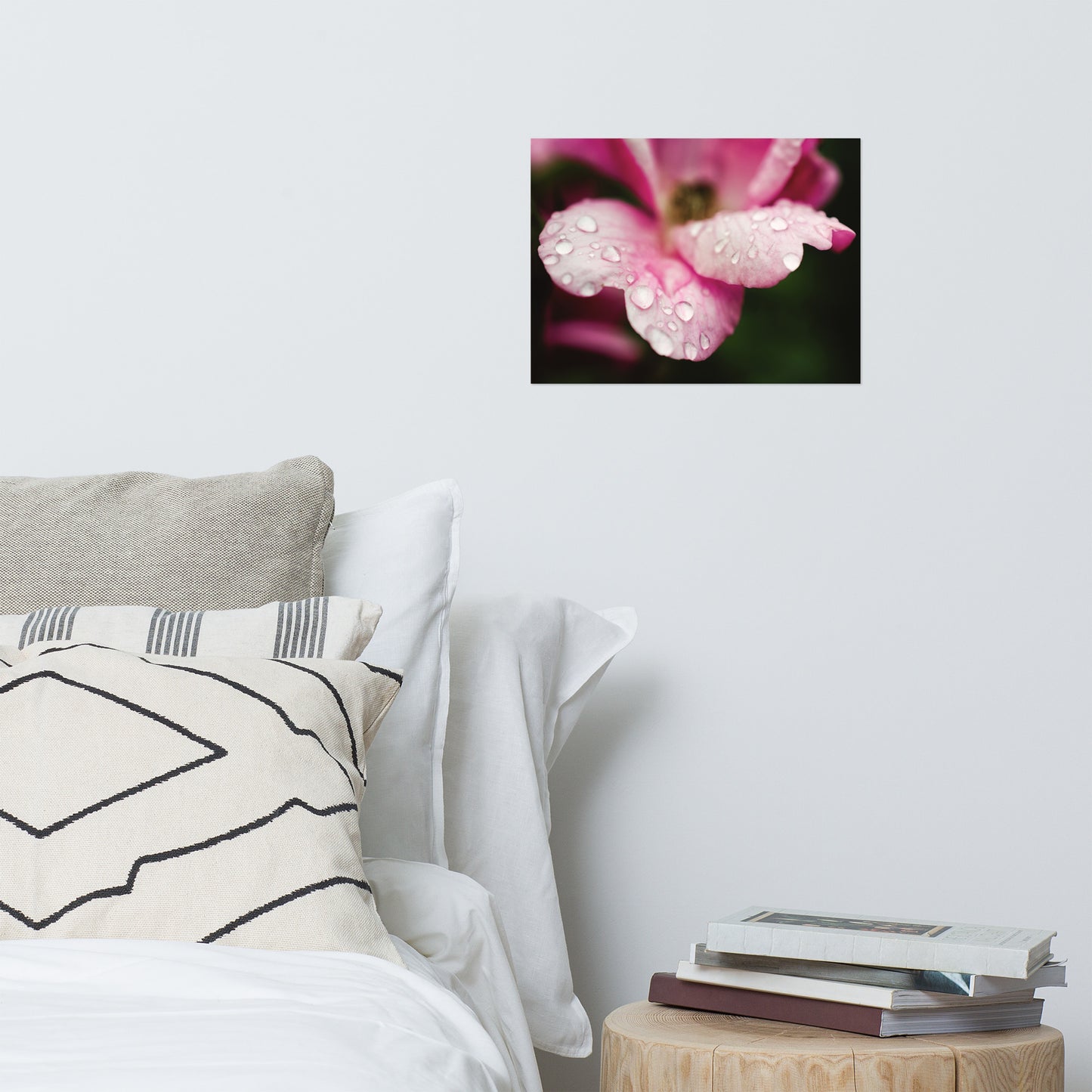 Raindrops on Wild Rose Floral Nature Photo Loose Unframed Wall Art Prints