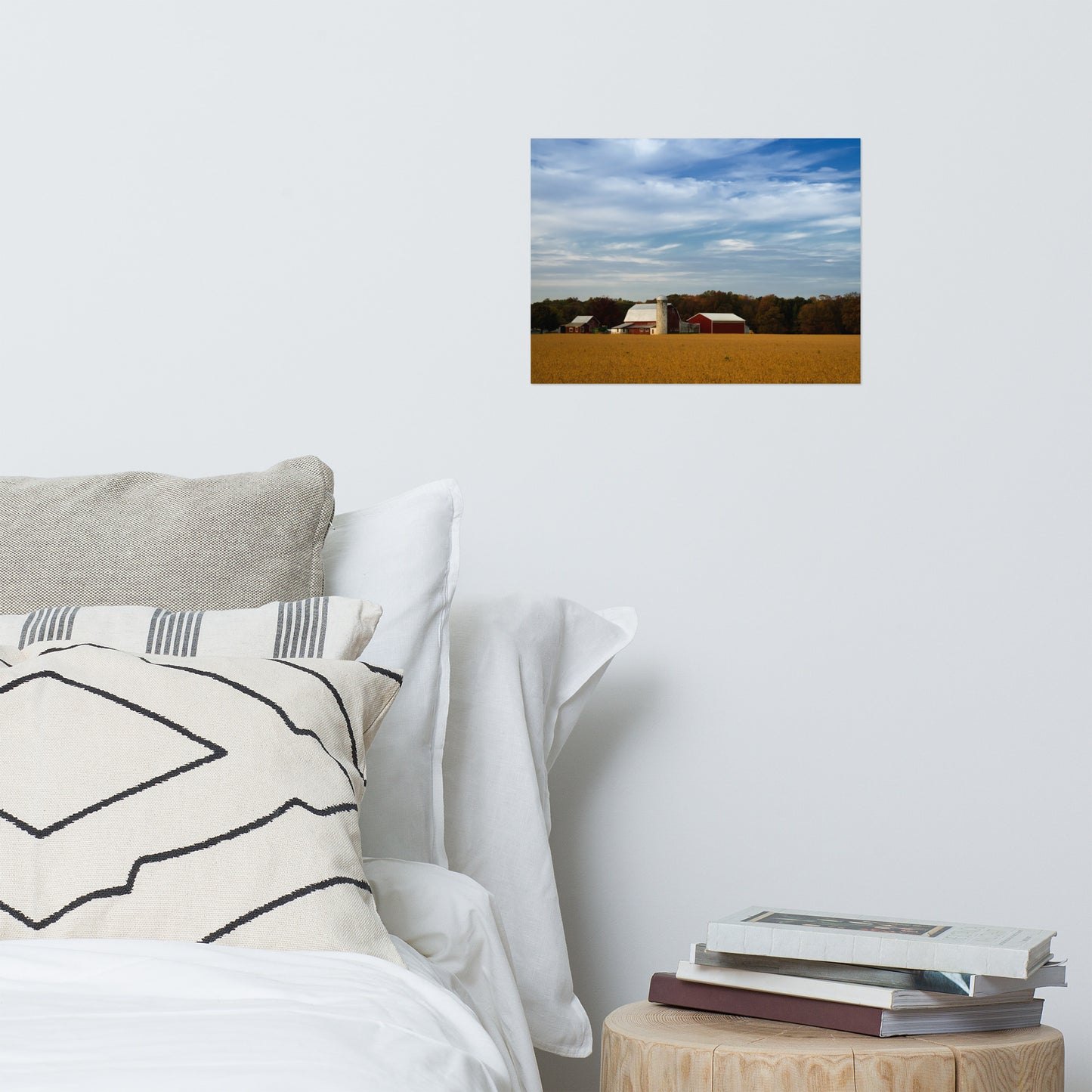 Red Barn in Golden Field Traditional Color Rustic Farmhouse Style Landscape Photo Loose Wall Art Prints