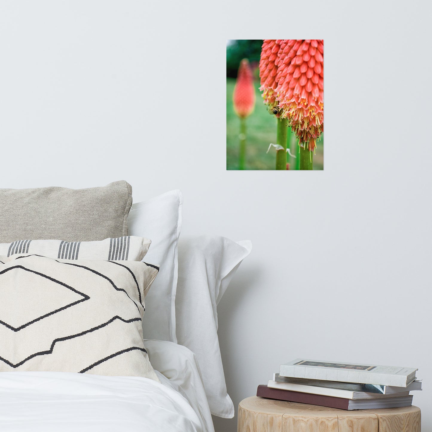 Red Hot Pokers Floral Nature Photo Loose Unframed Wall Art Prints