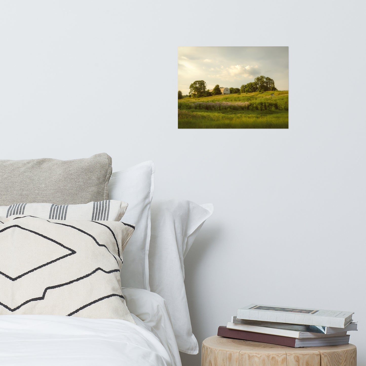 Remnant of Better Days Rustic Farmhouse Style Landscape Photo Loose Wall Art Prints