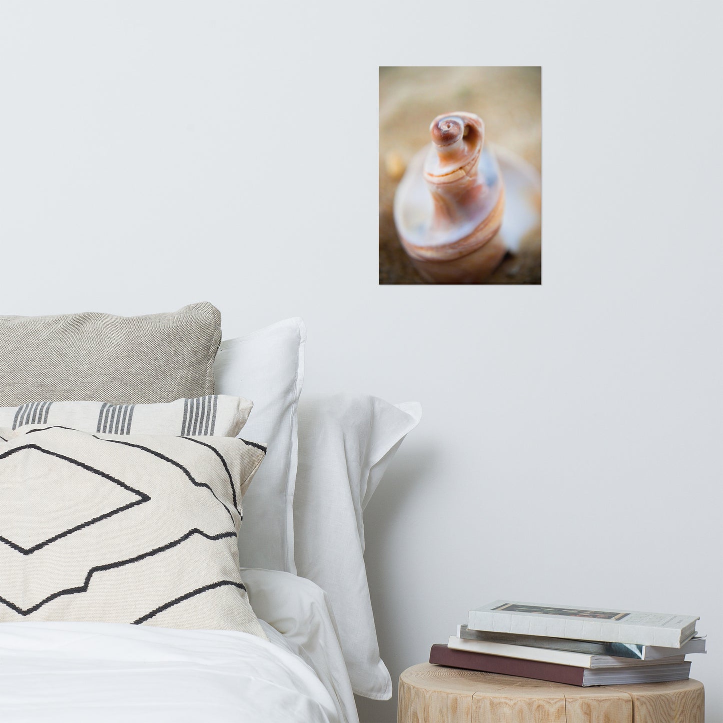 Smooth Erosion - Seashell Coastal Nature Photo Loose Unframed Wall Art Prints