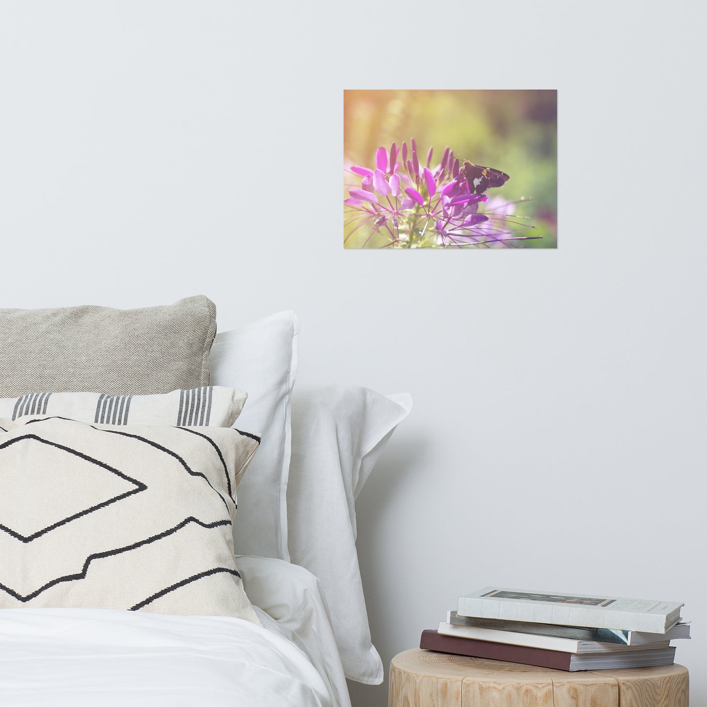 Spider Flower in Glory Light With Spotted Moth Floral Nature Photo Loose Unframed Wall Art Prints