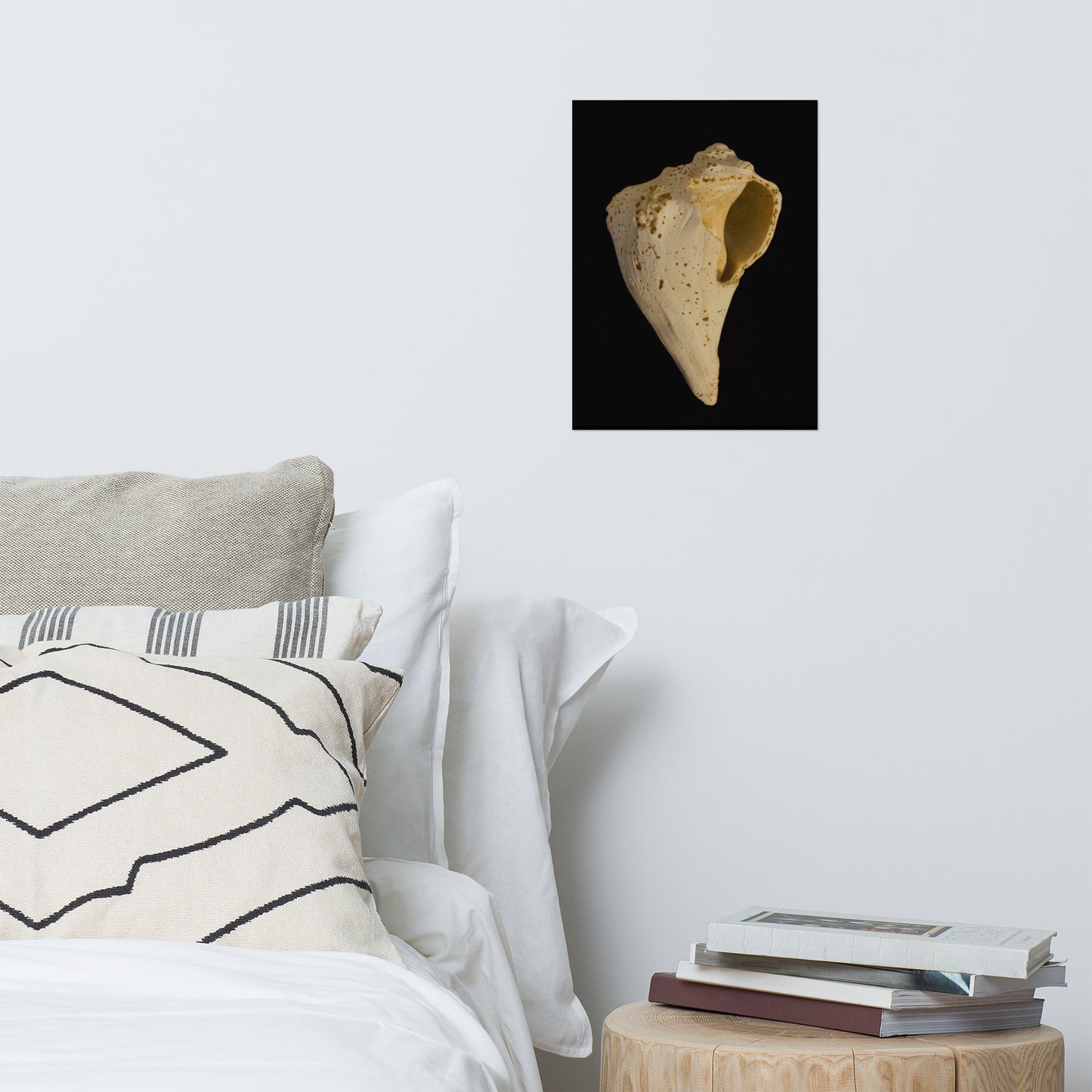 States of Erosion Image 1 Whelk Shell Coastal Nature Photo Loose Unframed Wall Art Prints