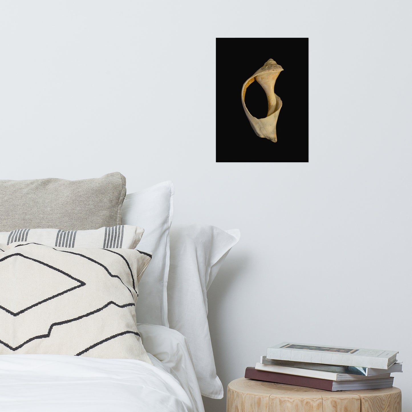 States of Erosion Image 2 Whelk Shell Coastal Nature Photo Loose Unframed Wall Art Prints
