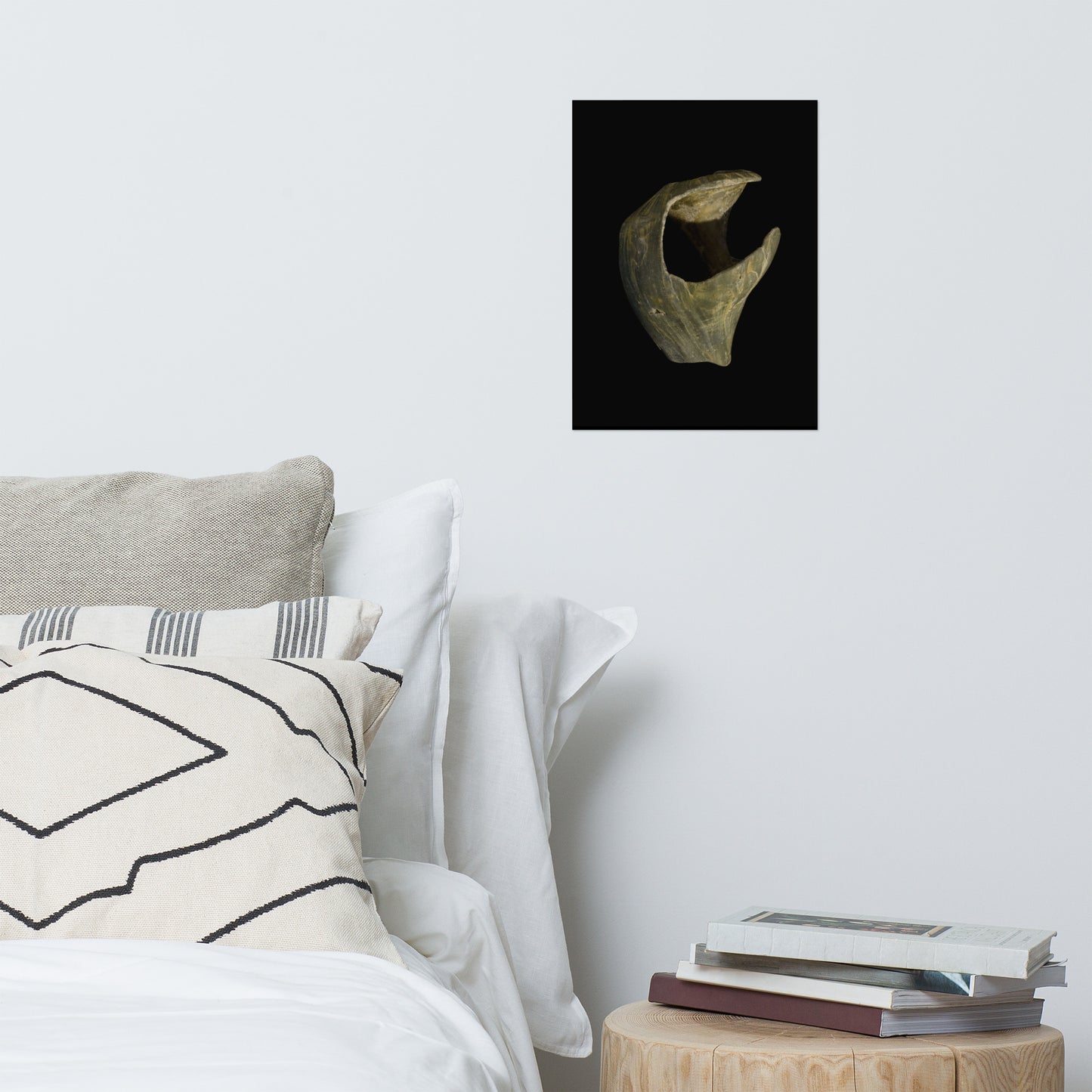 States of Erosion Image 5 Whelk Shell Coastal Nature Photo Loose Unframed Wall Art Prints